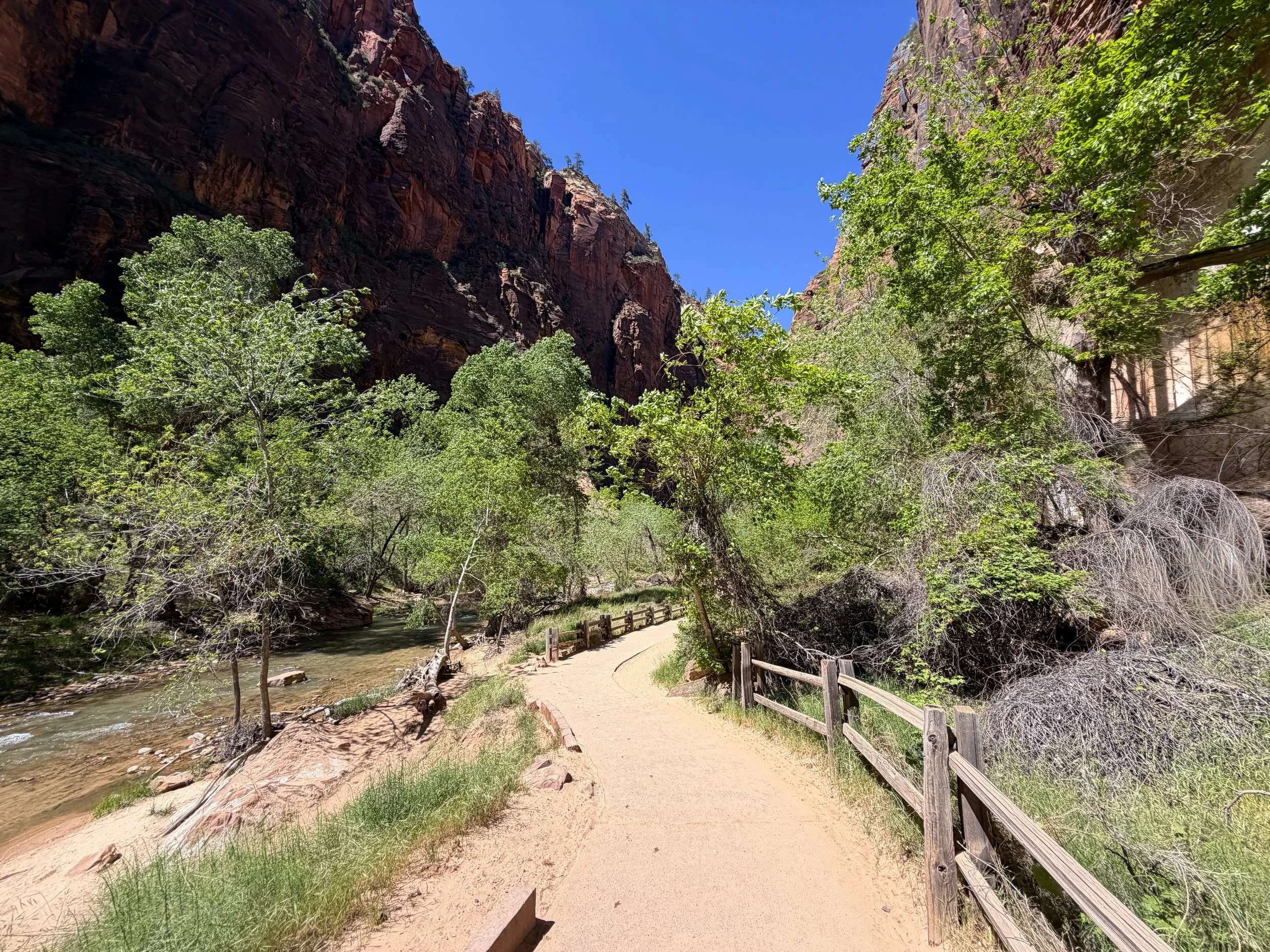 Riverside Walk to the Narrows Zion National Park Utah