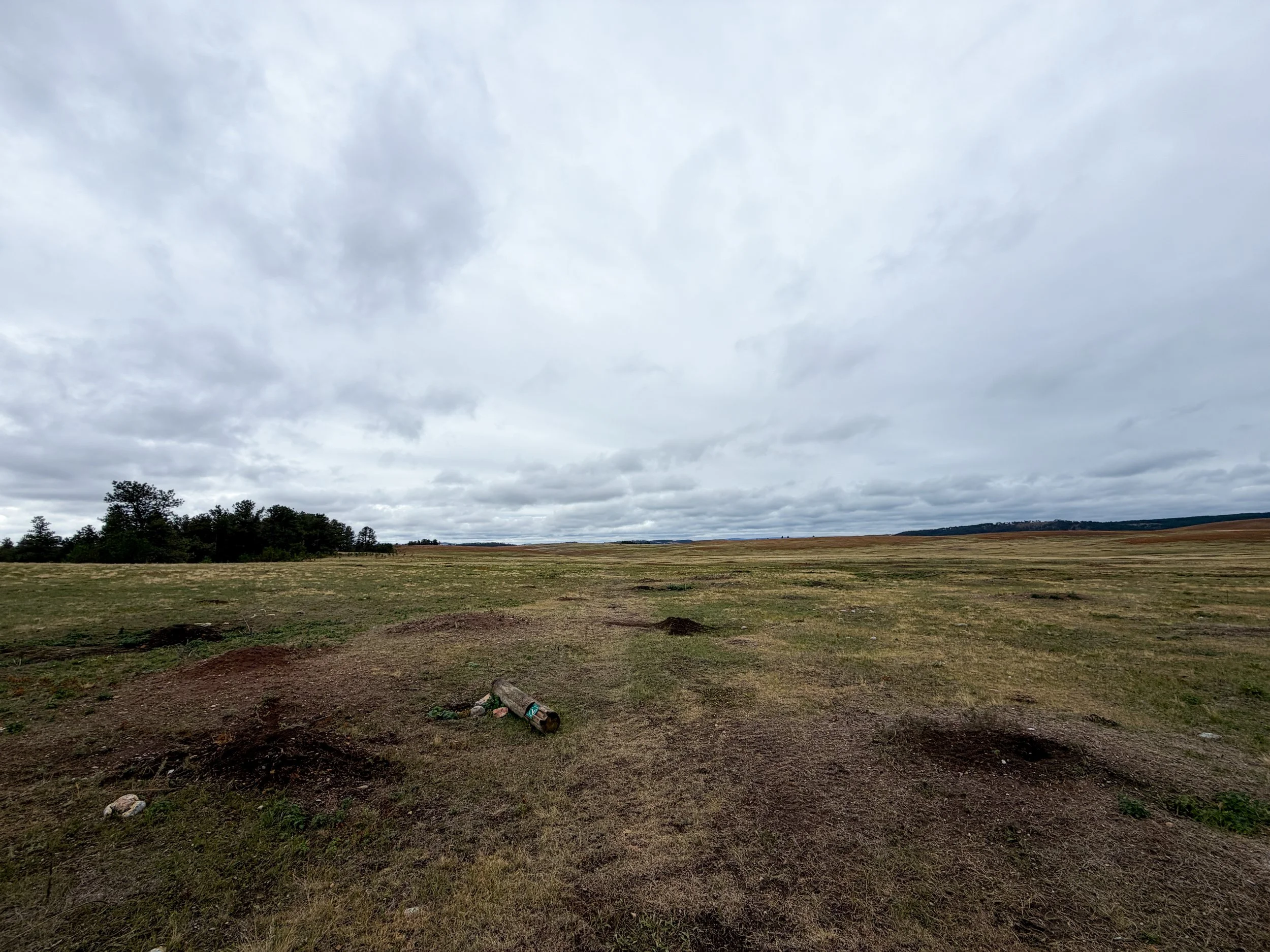 Highland Creek Trail Wind Cave National Park South Dakota