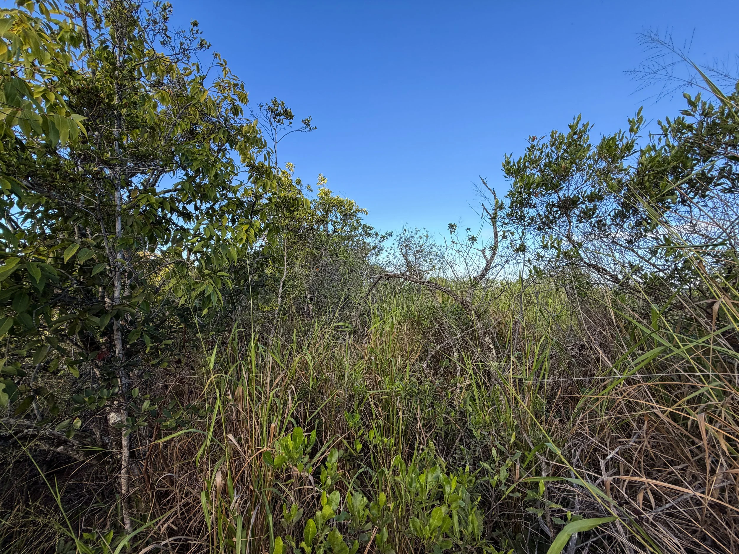 Mokuleia Trail Oahu Hawaii