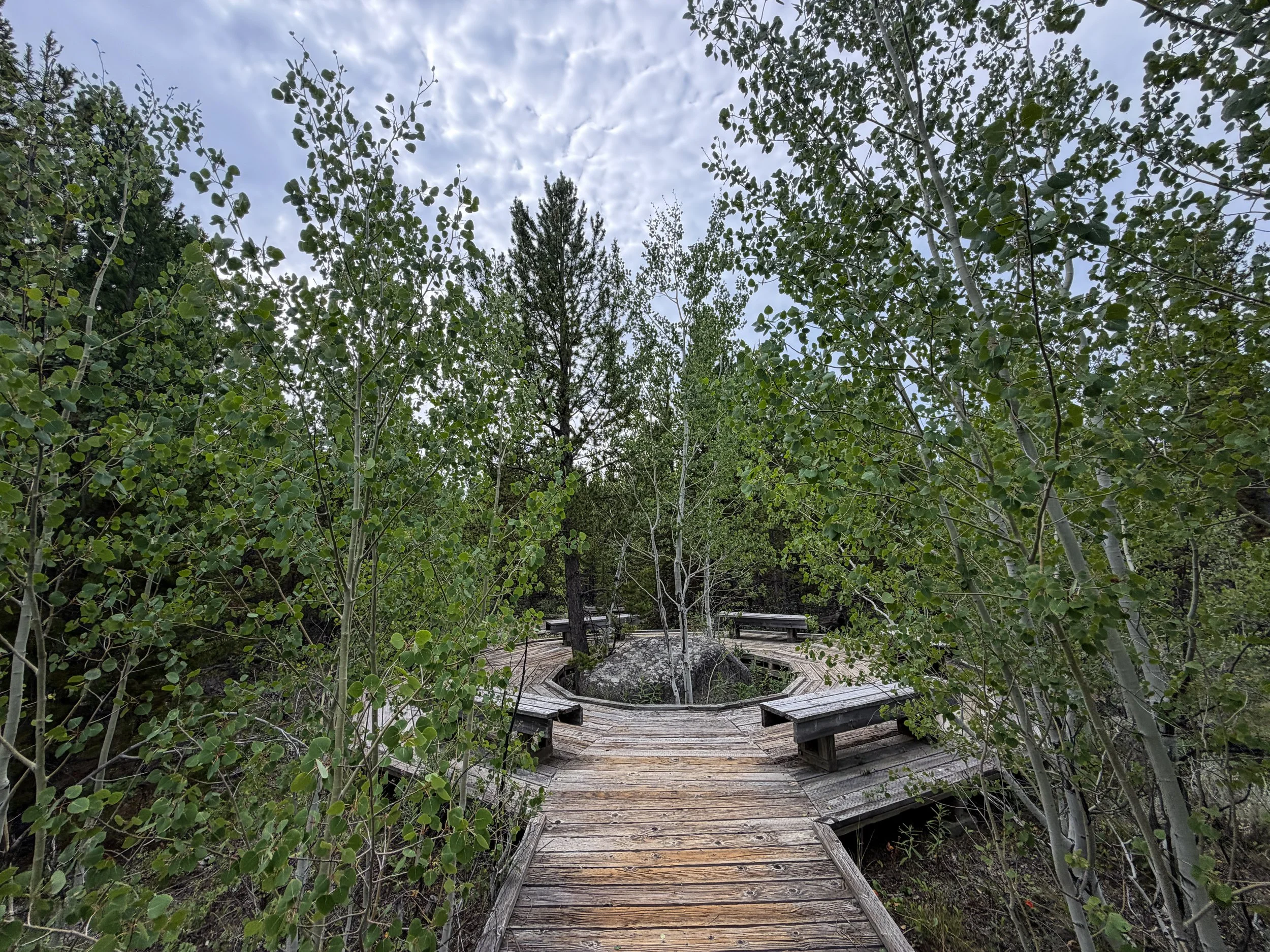 Forces of the Northern Range Loop Trail Yellowstone National Park Wyoming
