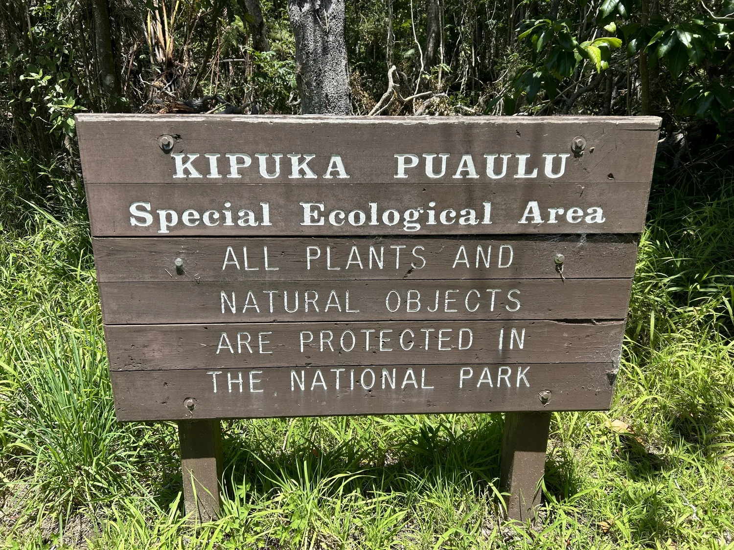 kipuka hulu olukai