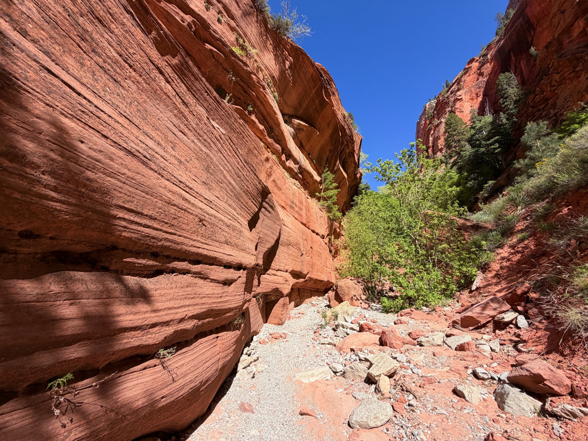 Taylor Creek Trail Zion National Park Utah