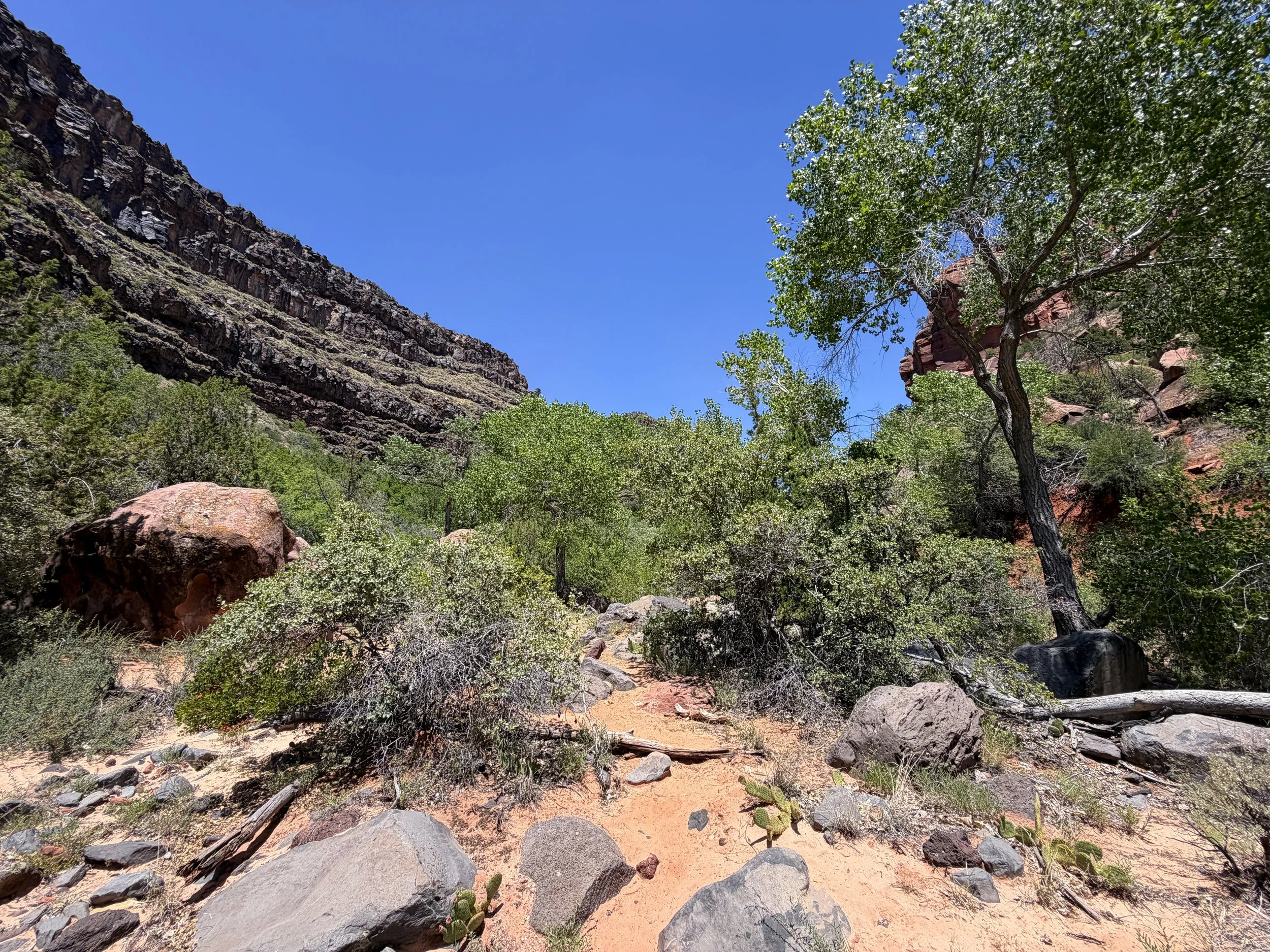Grapevine Hike to Left Fork Falls Zion National Park Utah