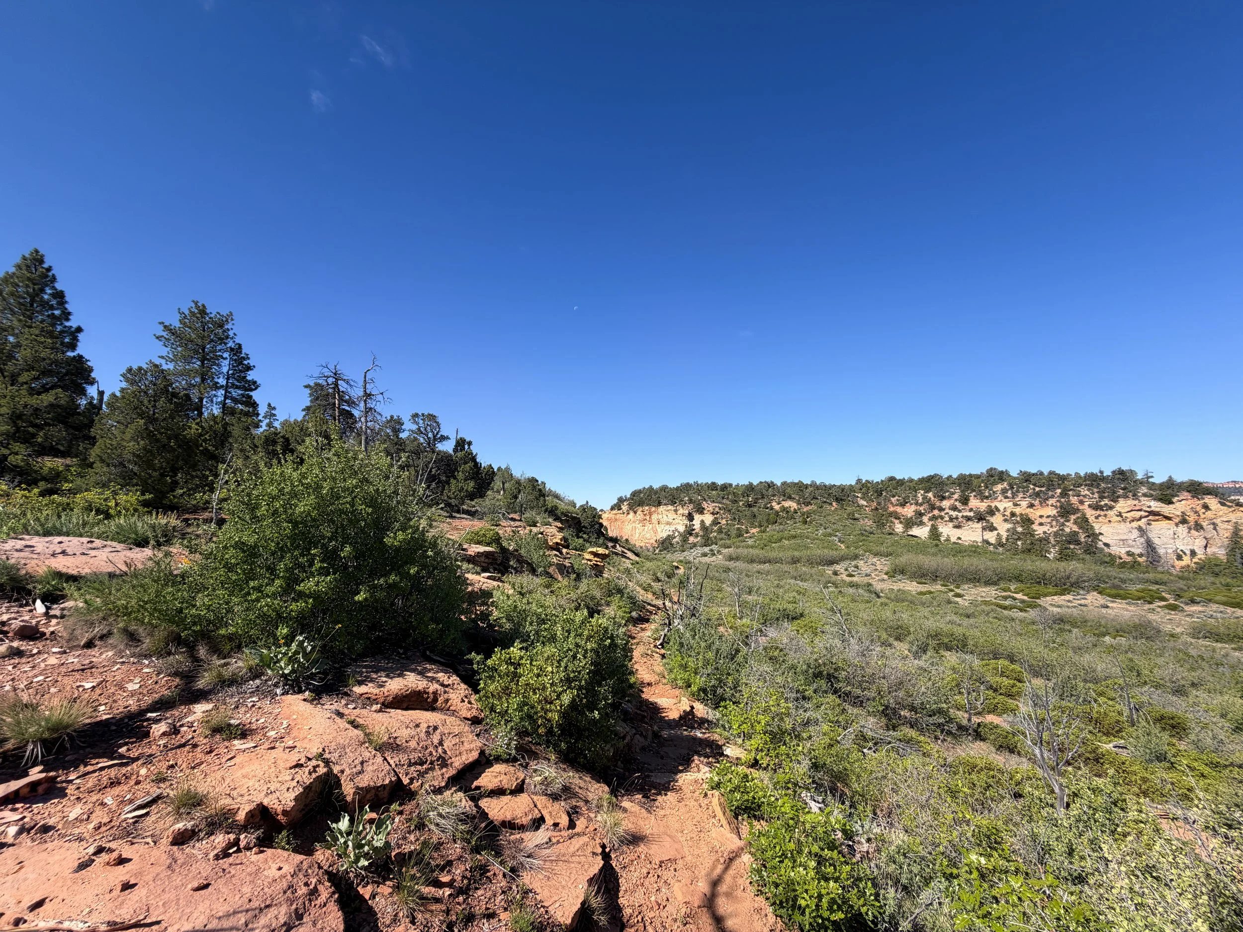 Deertrap Mountain Trail Zion National Park Utah