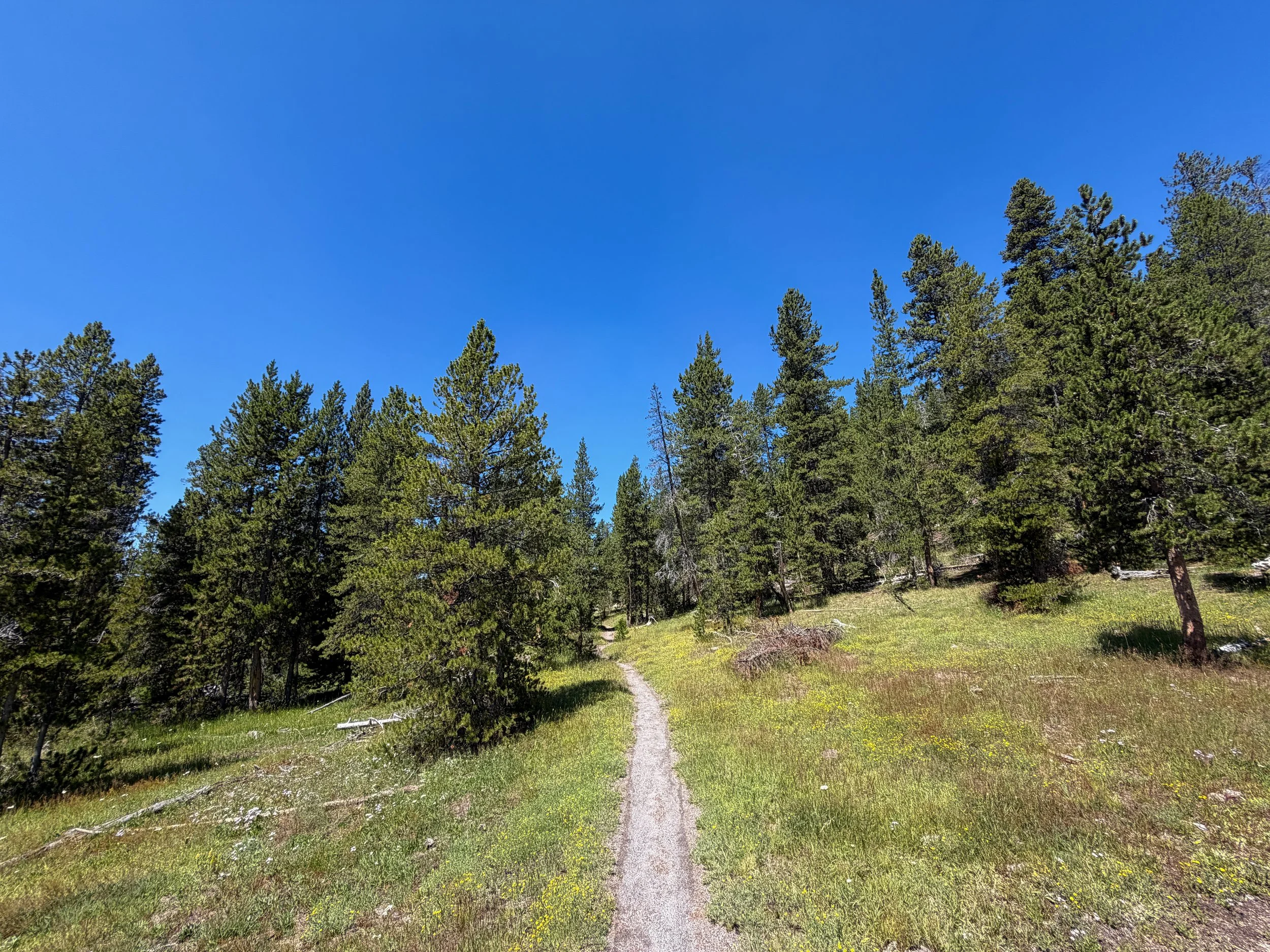 Lone Star Geyser Trail Yellowstone National Park Wyoming