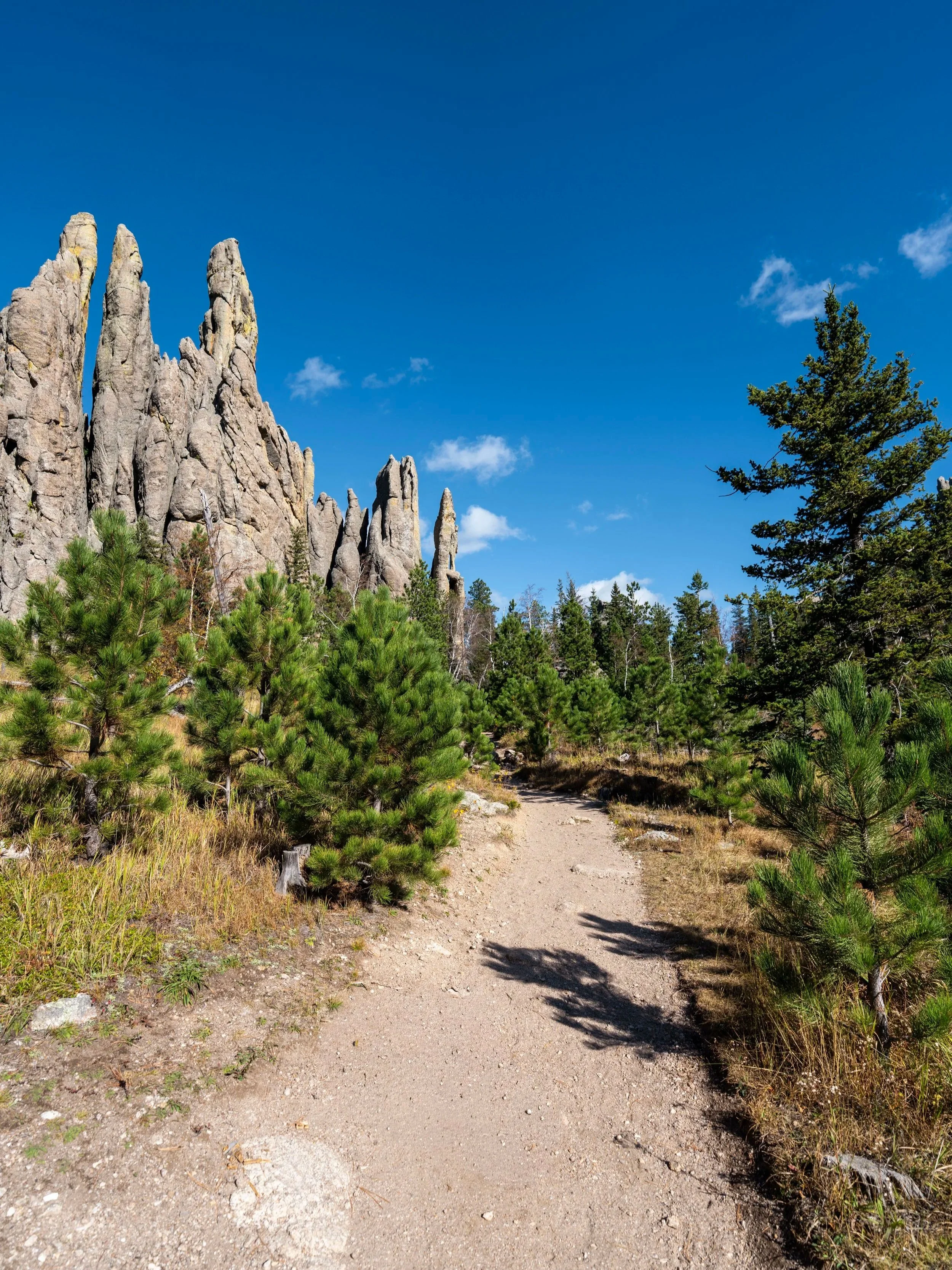 Cathedral Spires Trail Custer State Park Black Hills South Dakota