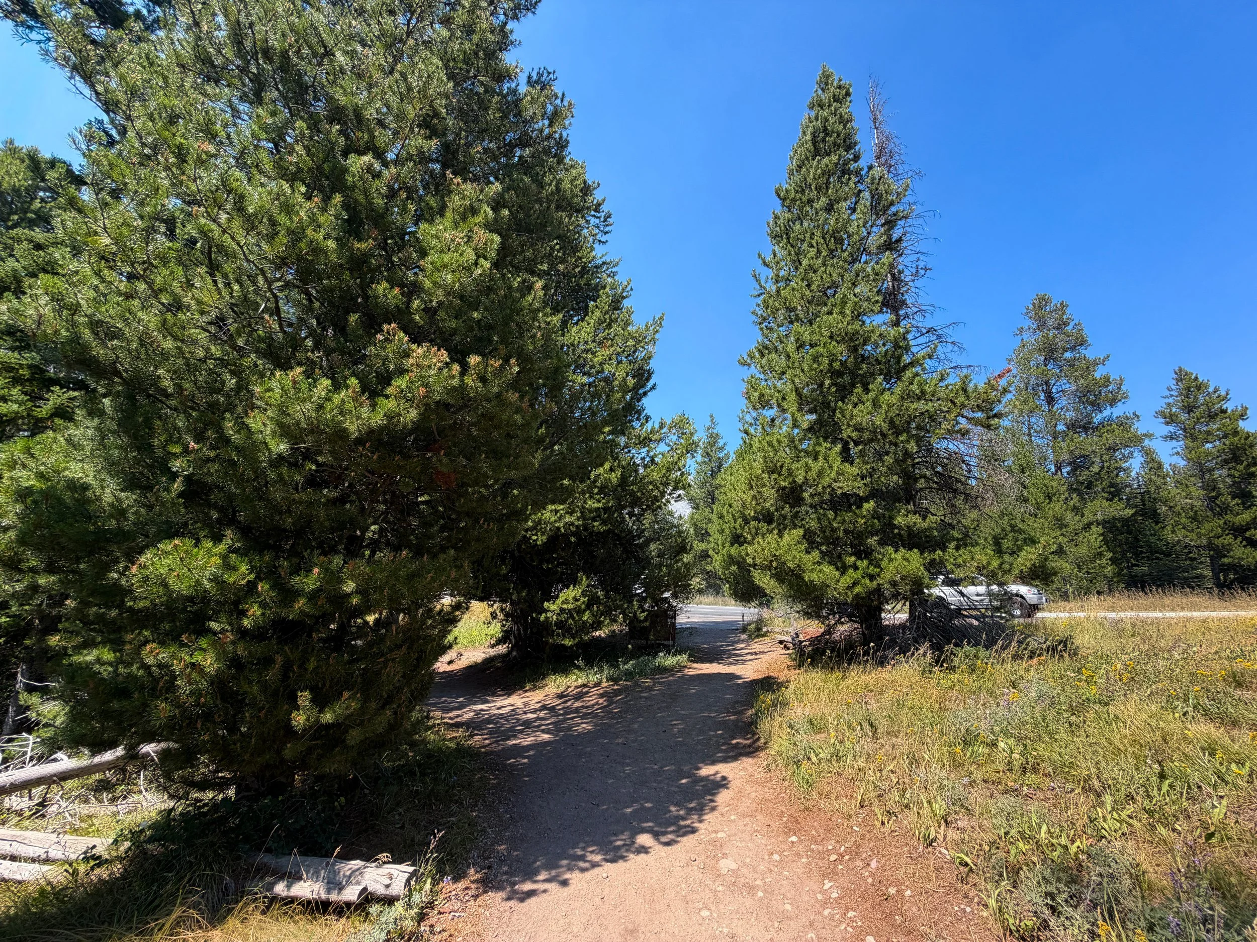 String Lake Loop Trail Grand Teton National Park Wyoming