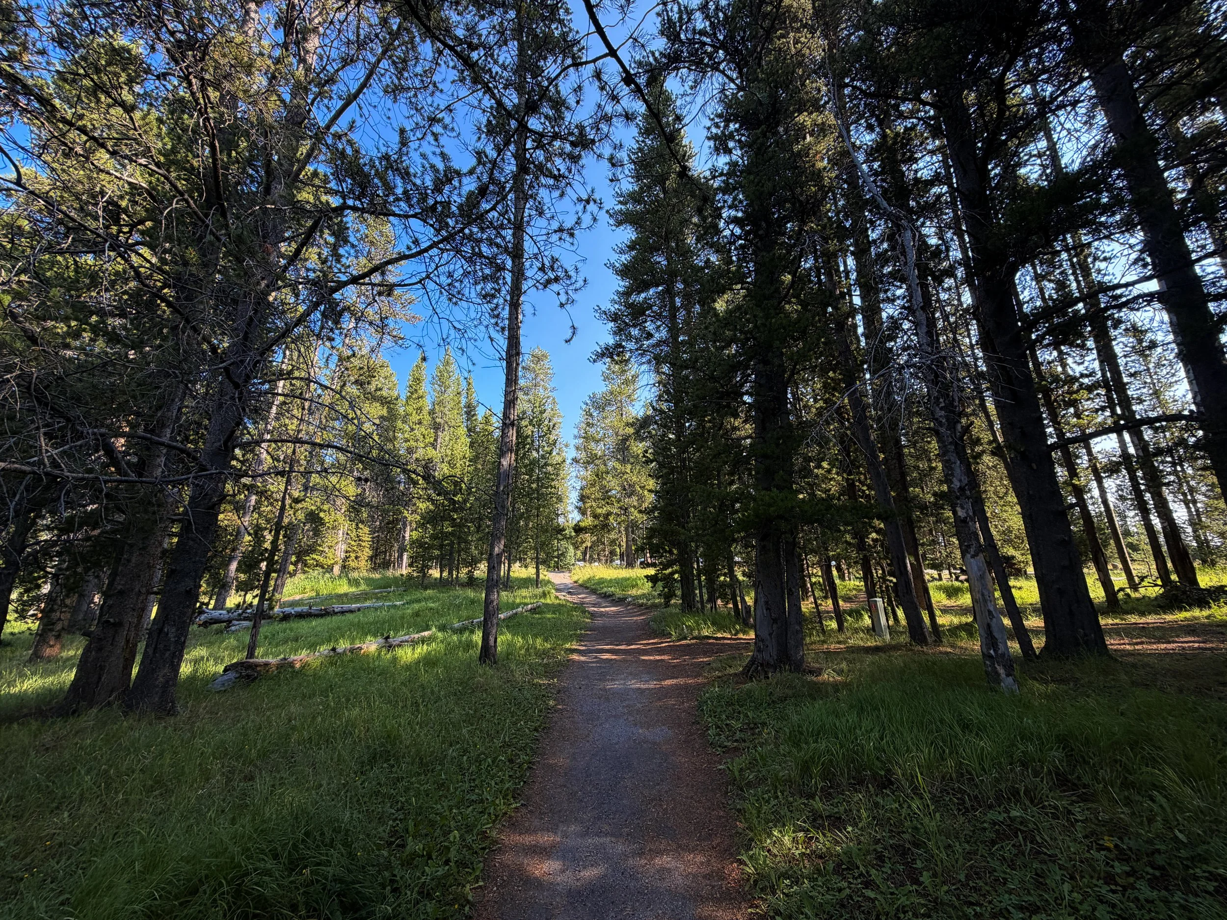 Natural Bridge Trail Yellowstone National Park Wyoming