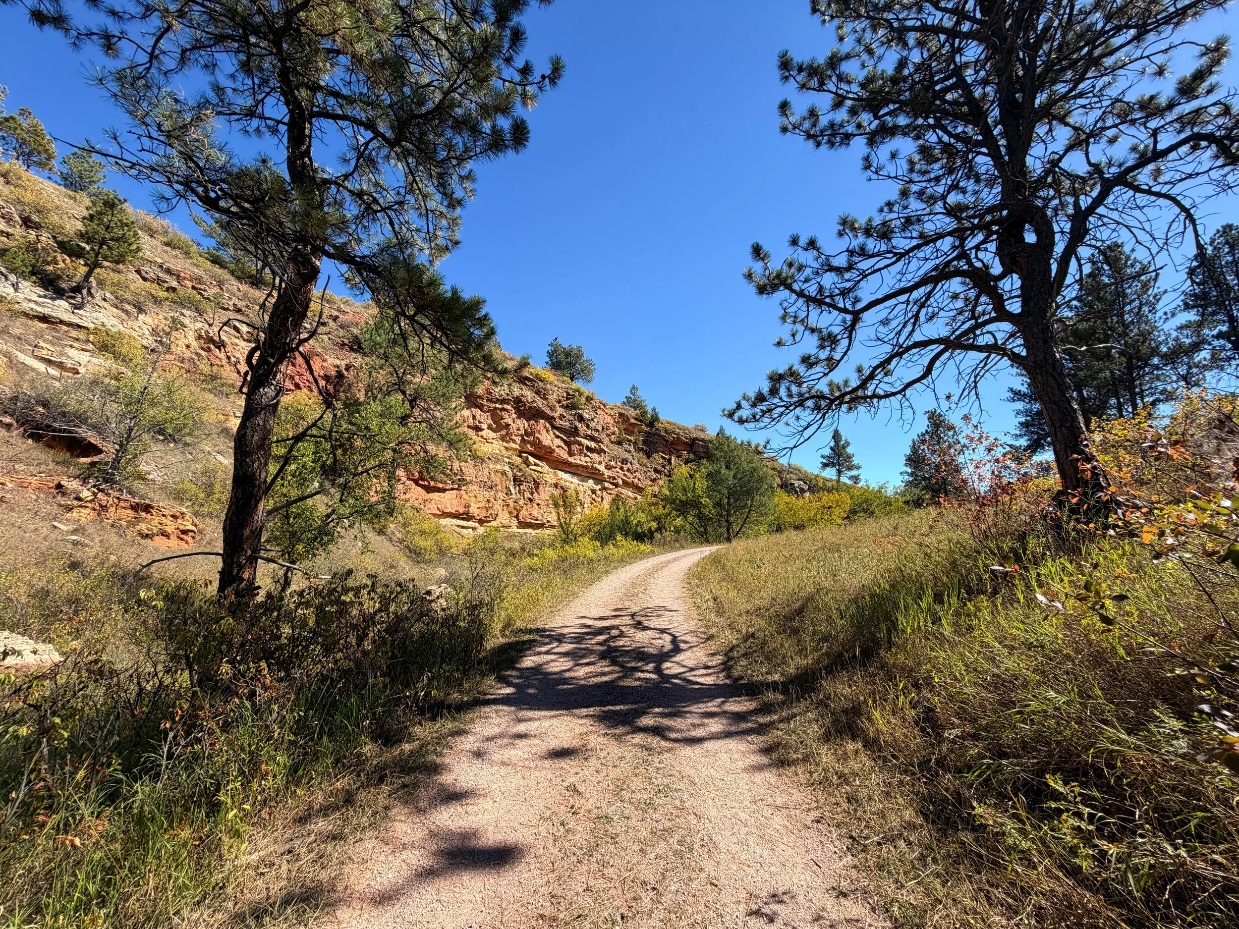 Wind Cave Canyon Trail Wind Cave National Park South Dakota