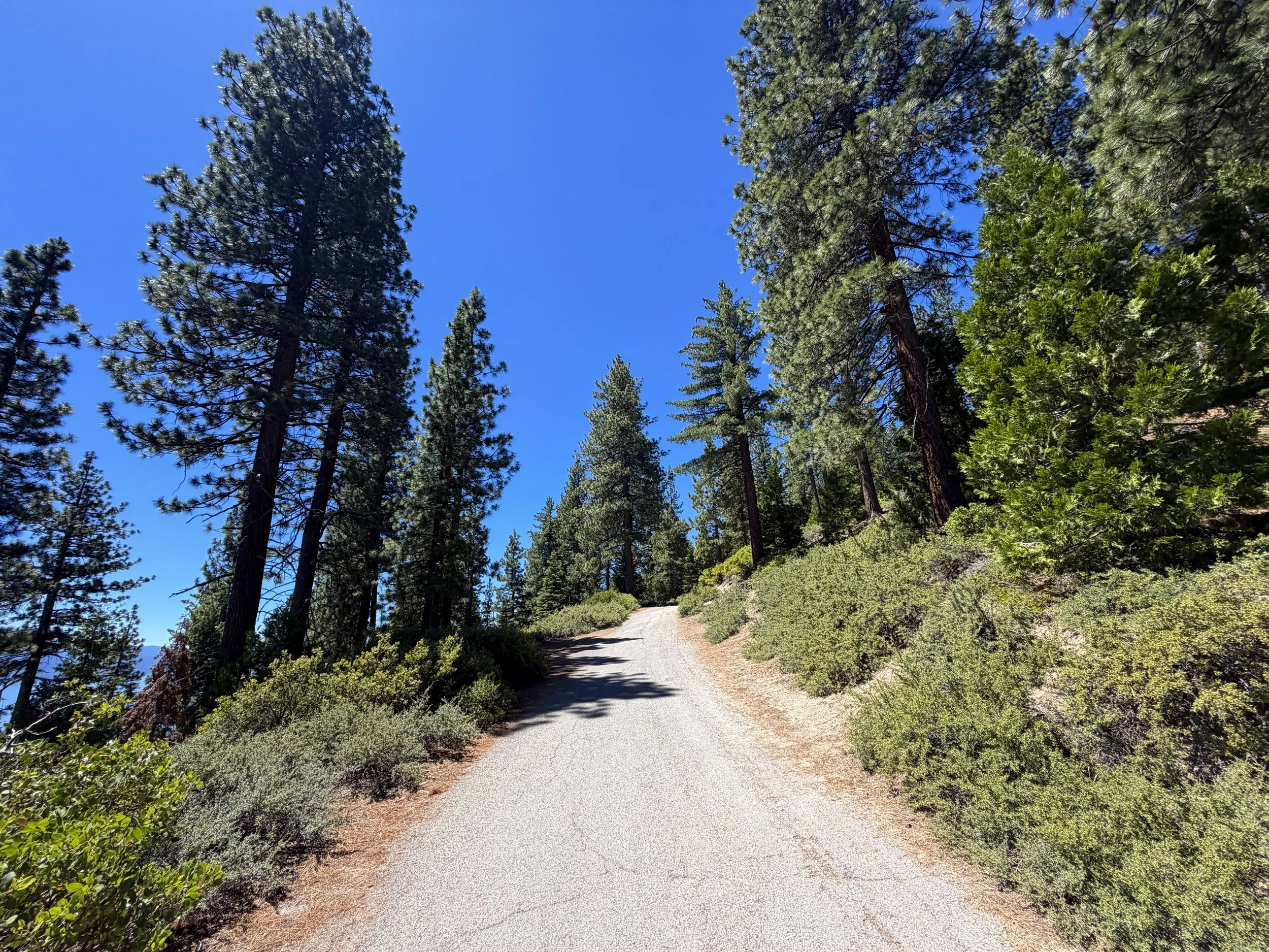 State Line Lookout Trail Lake Tahoe Nevada