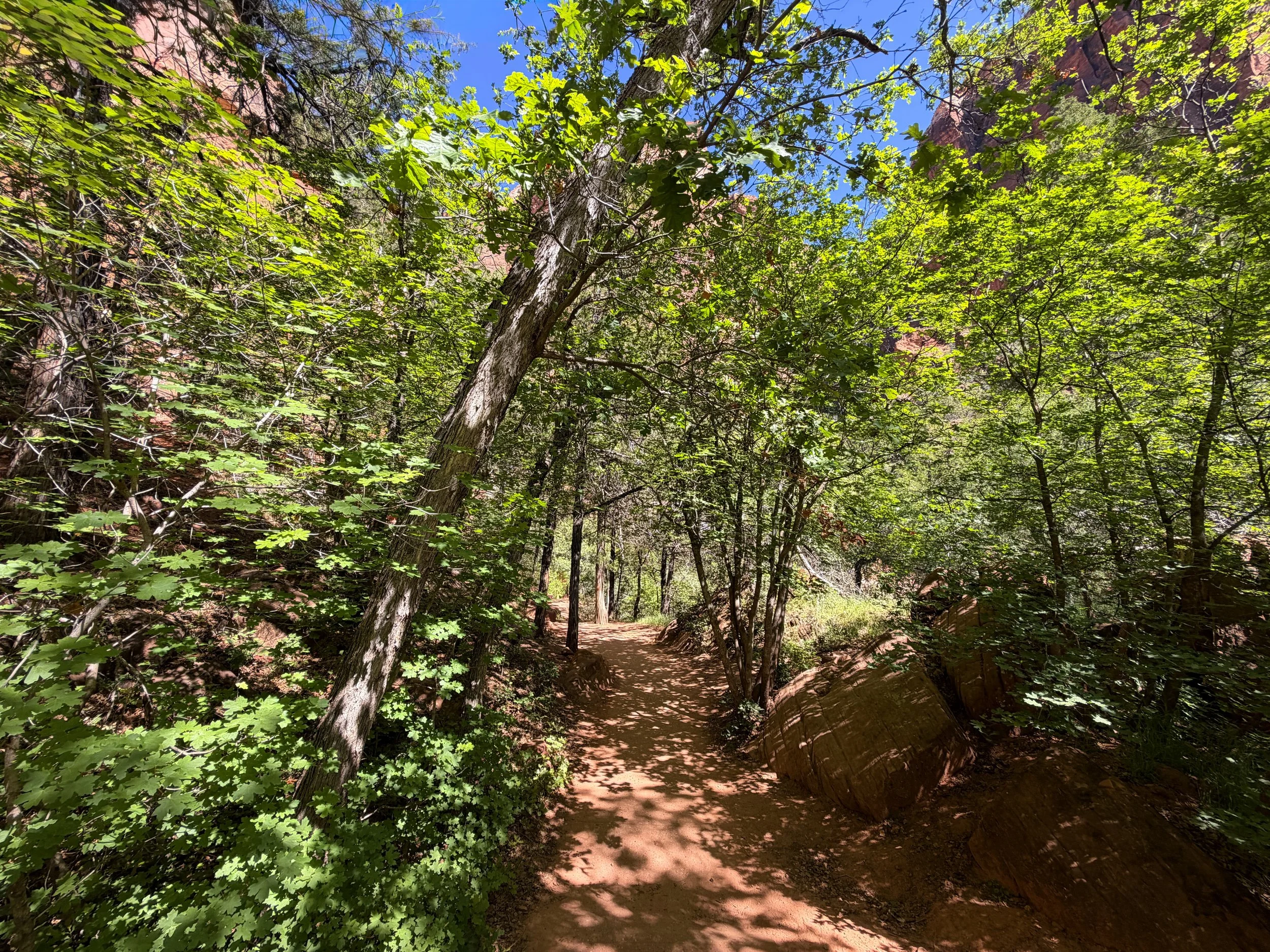 Lower Emerald Pools Hike Zion National Park Utah