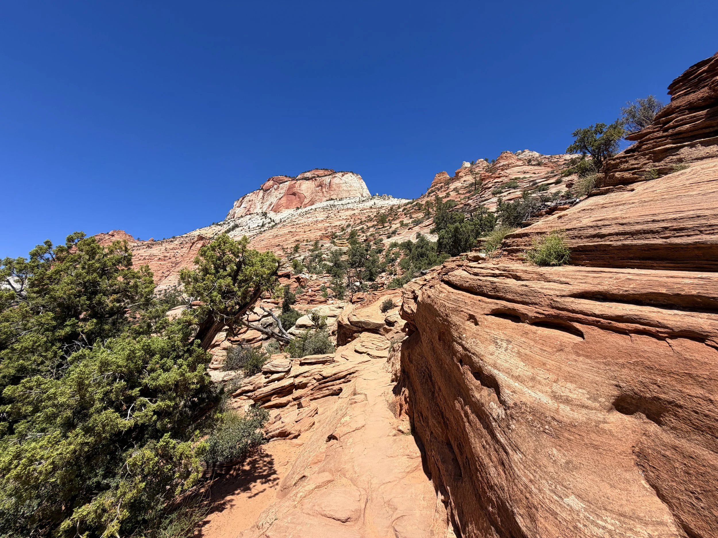 Canyon Overlook Trail Zion National Park Utah