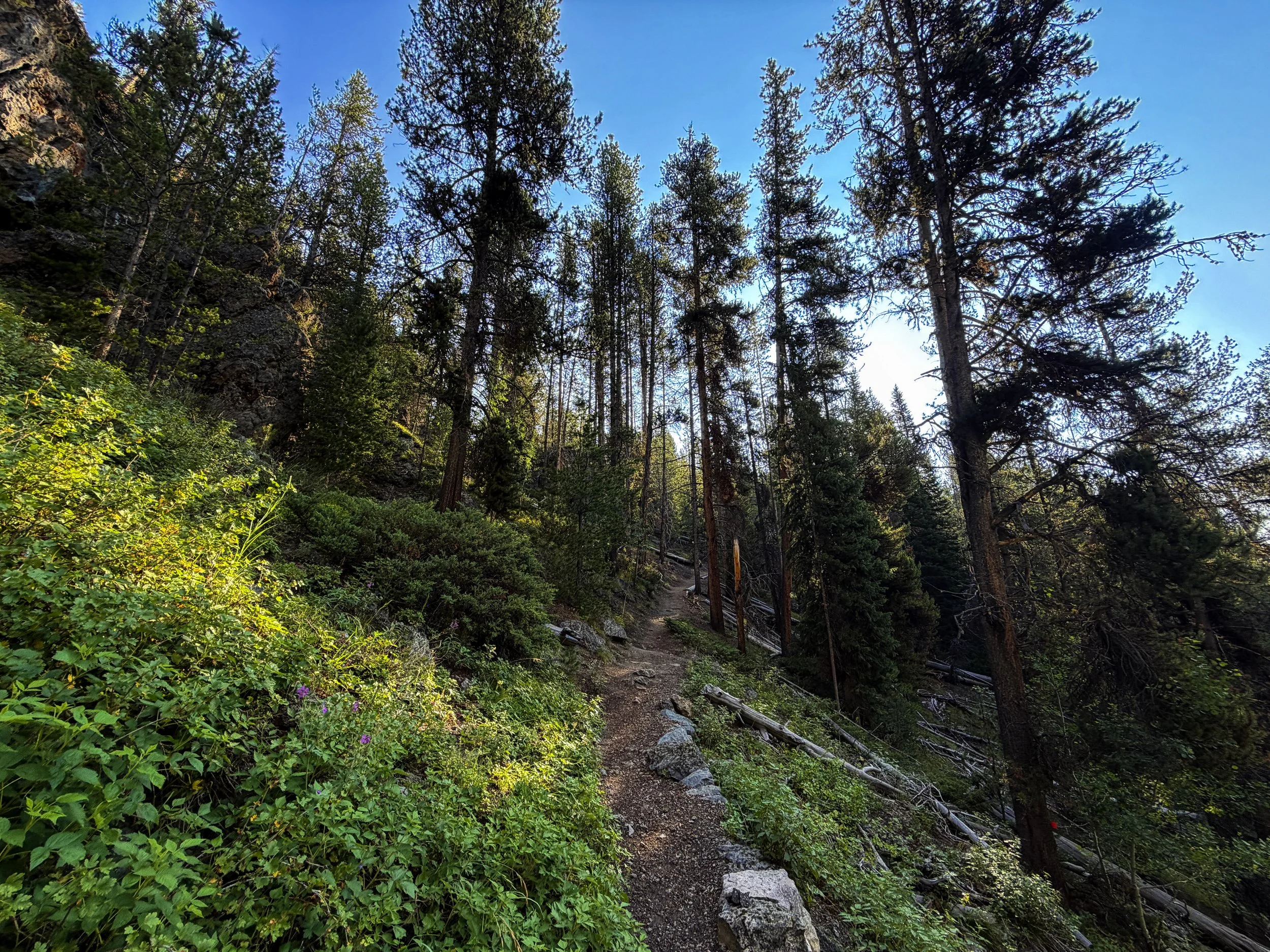 Natural Bridge Trail Yellowstone National Park Wyoming
