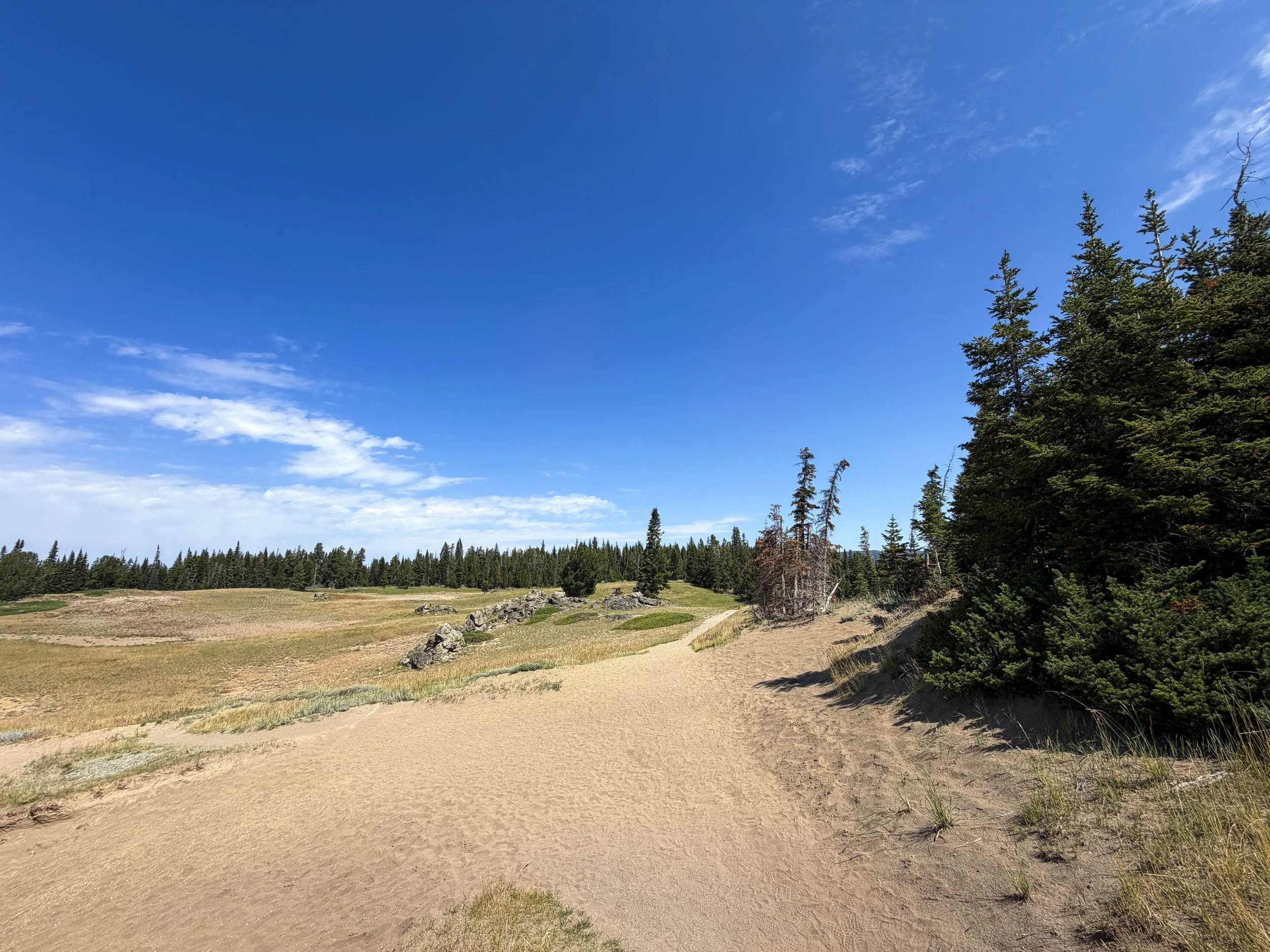 Storm Point Trail Yellowstone National Park Wyoming