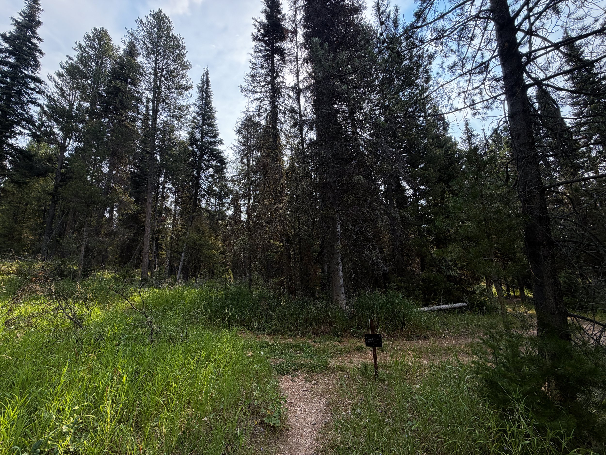 Aspen Ridge Trail Grand Teton National Park Wyoming