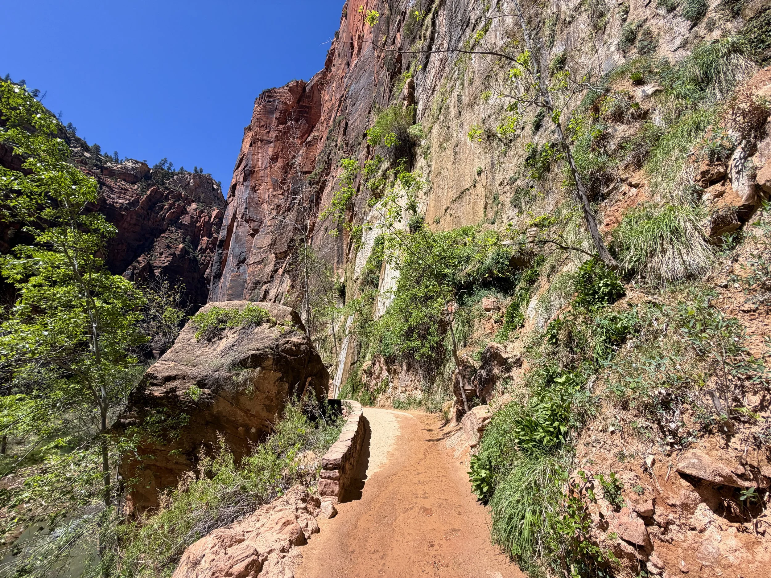 Riverside Walk to the Narrows Zion National Park Utah