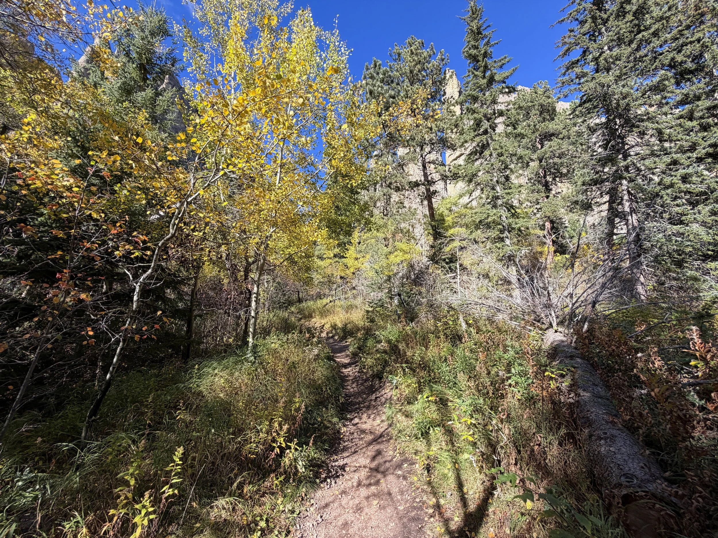 Cathedral Spires Hike Custer State Park Black Hills South Dakota