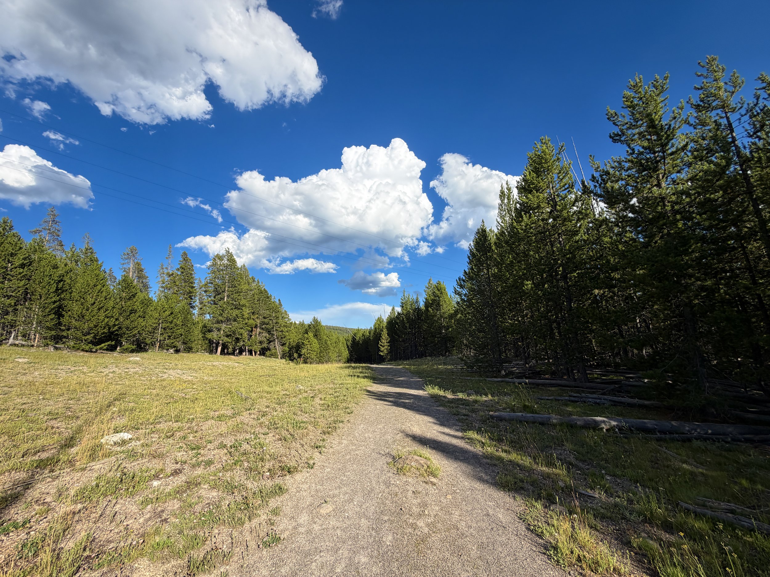 Artemisia Trail Yellowstone National Park Wyoming