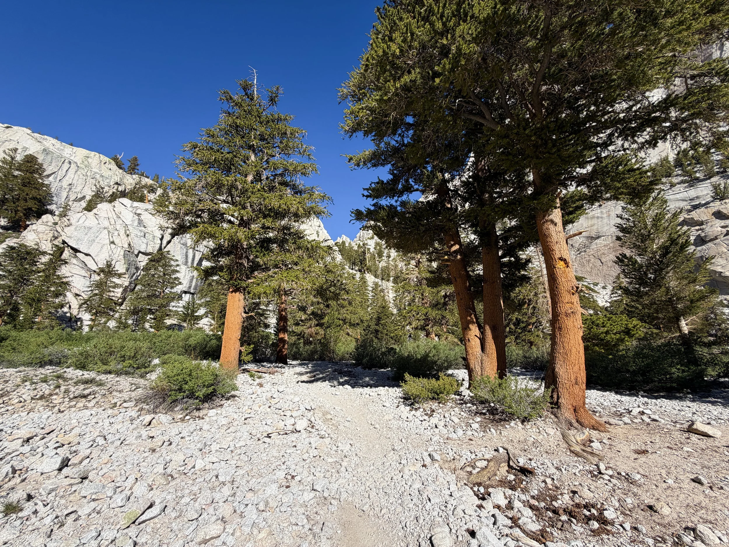 Mt. Whitney Trail California