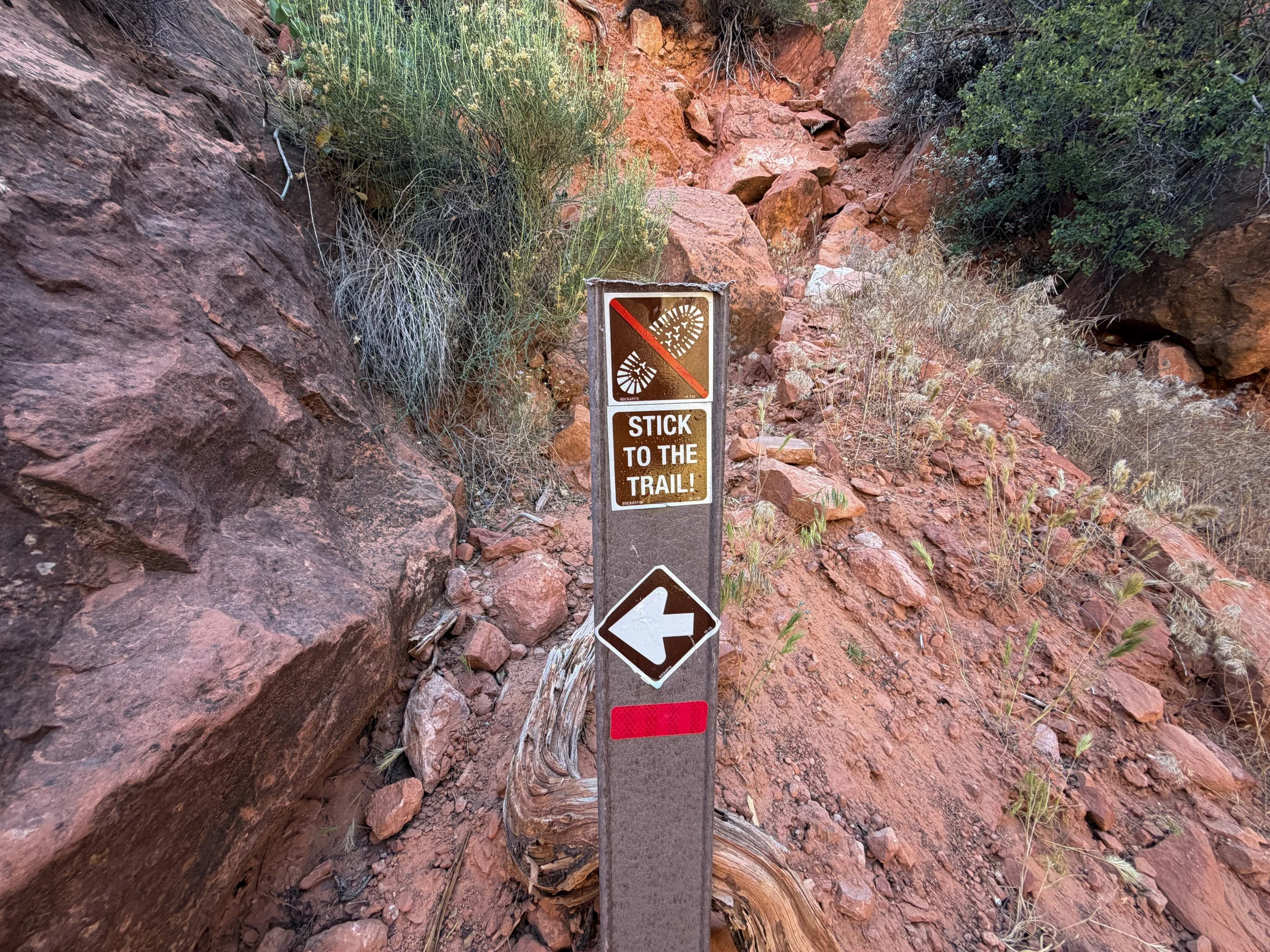 Left Fork Trail to Subway Zion National Park Utah