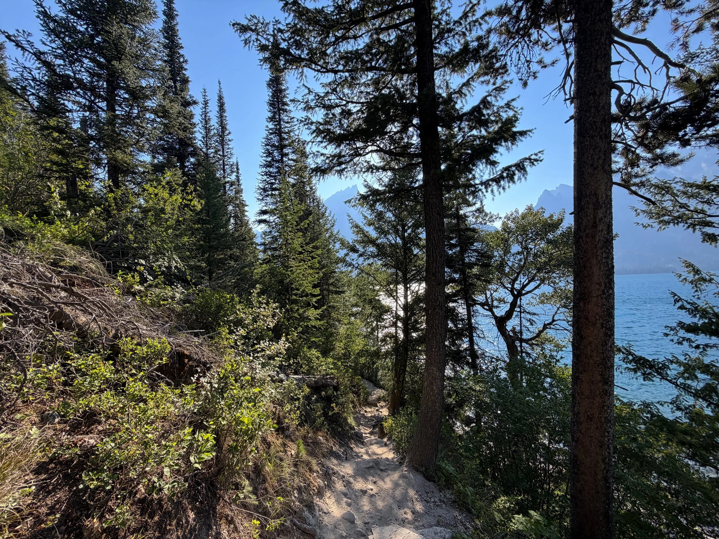 Jenny Lake Loop Trail Grand Teton National Park Wyoming