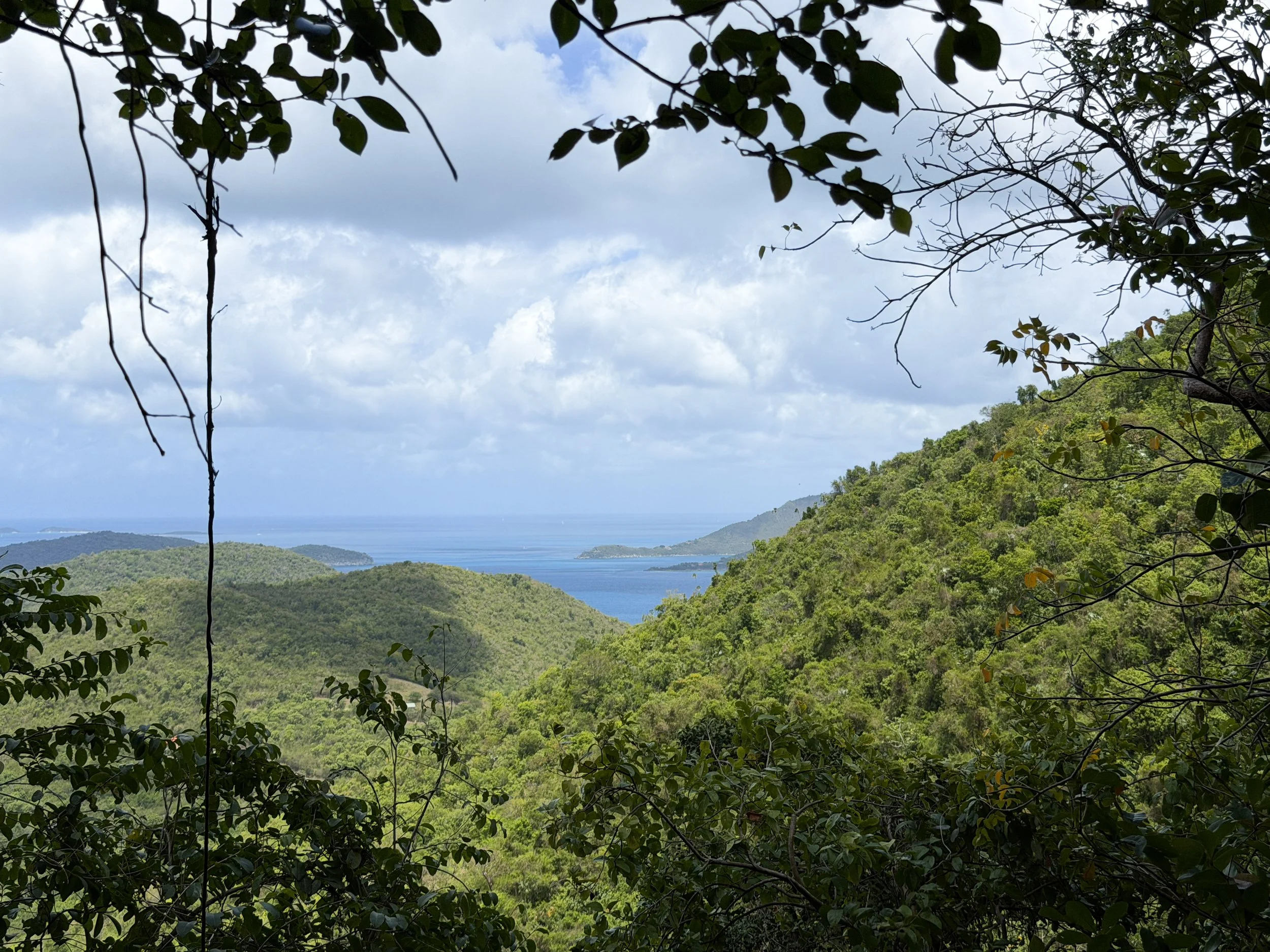 Maria Hope Trail Viewpoint Virgin Islands National Park