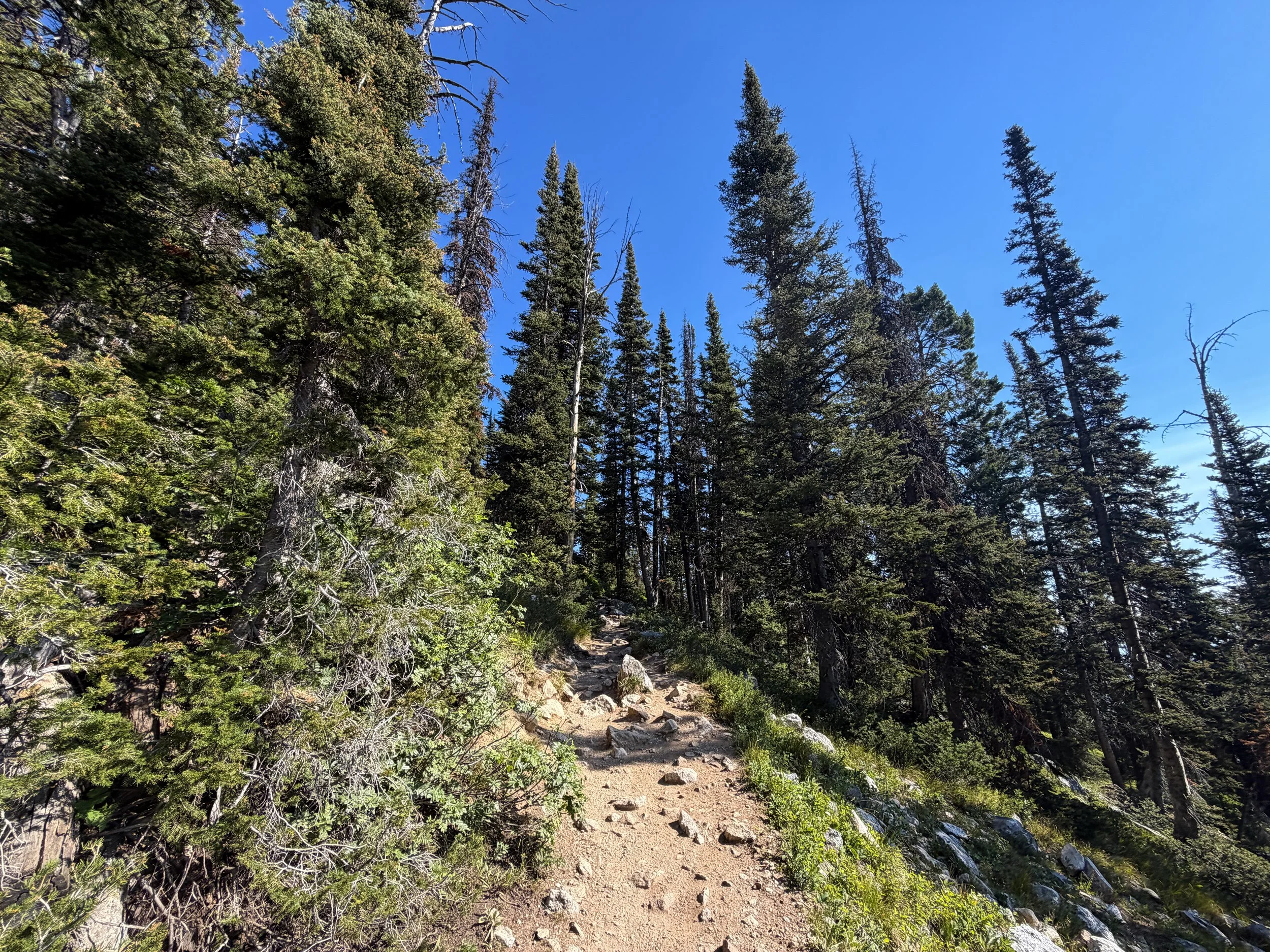 Delta Lake Trail via Lupine Meadows Grand Teton National Park Wyoming