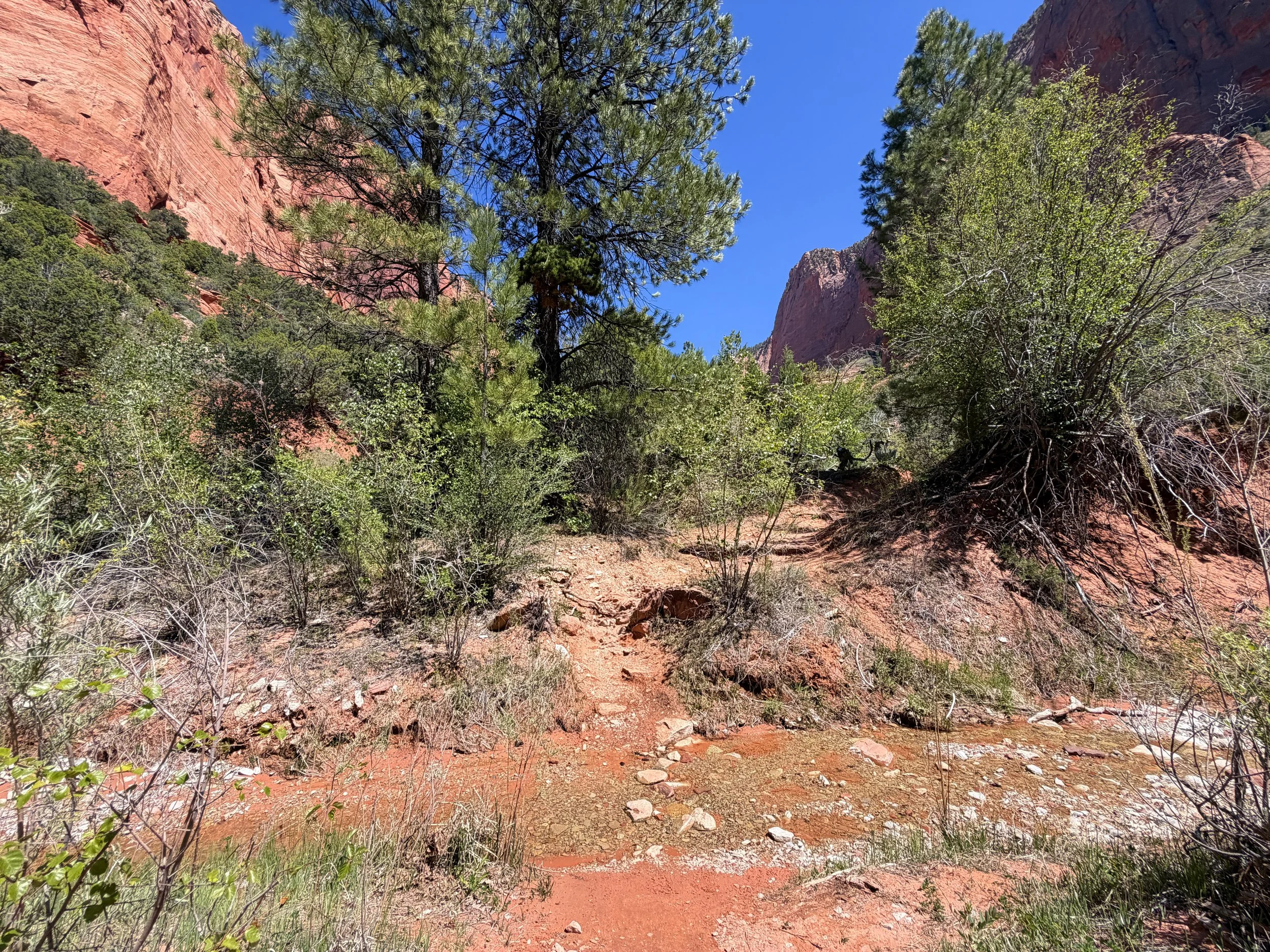 Taylor Creek Trail Zion National Park Utah