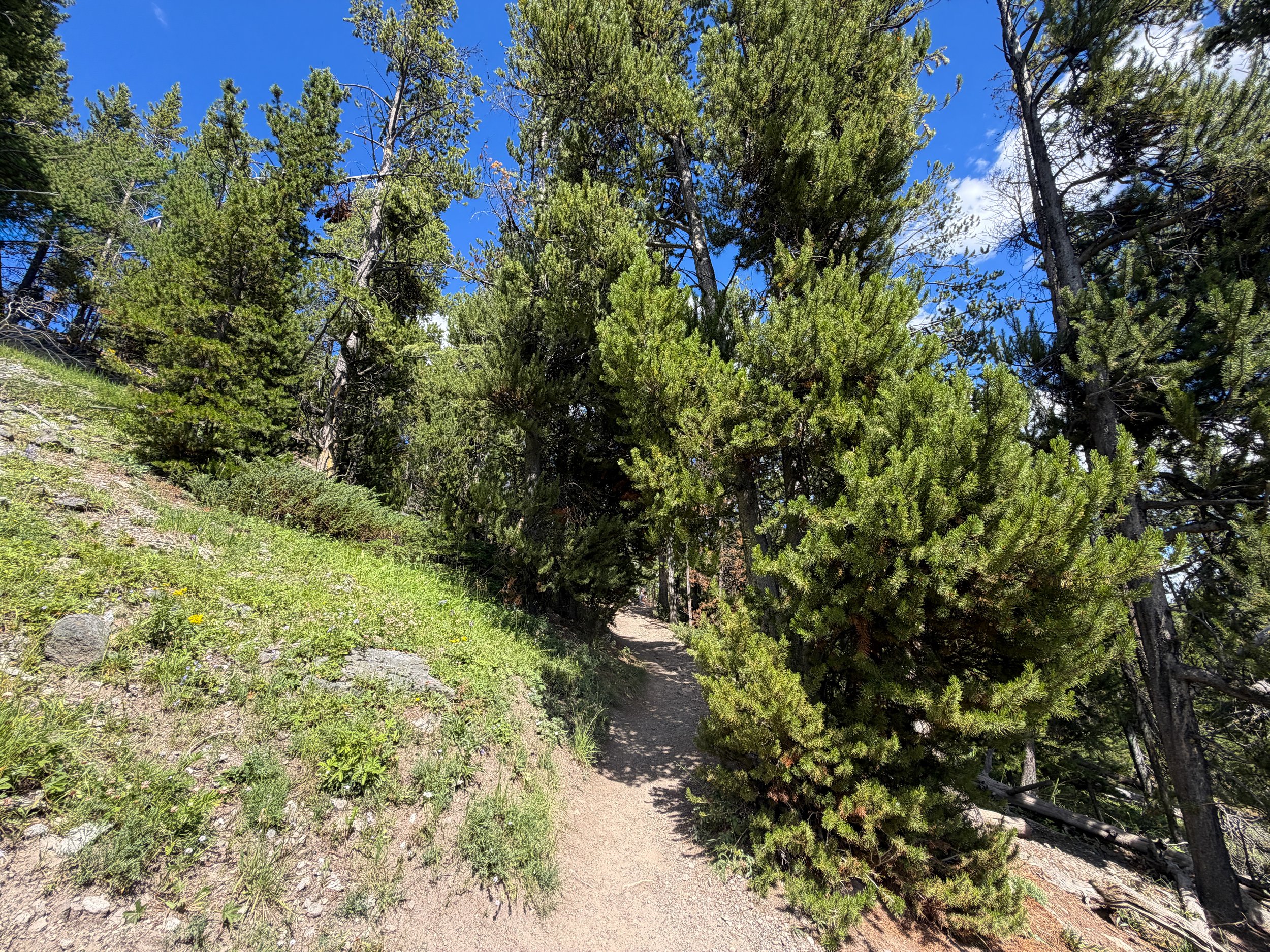 North Rim Hike Yellowstone National Park Wyoming