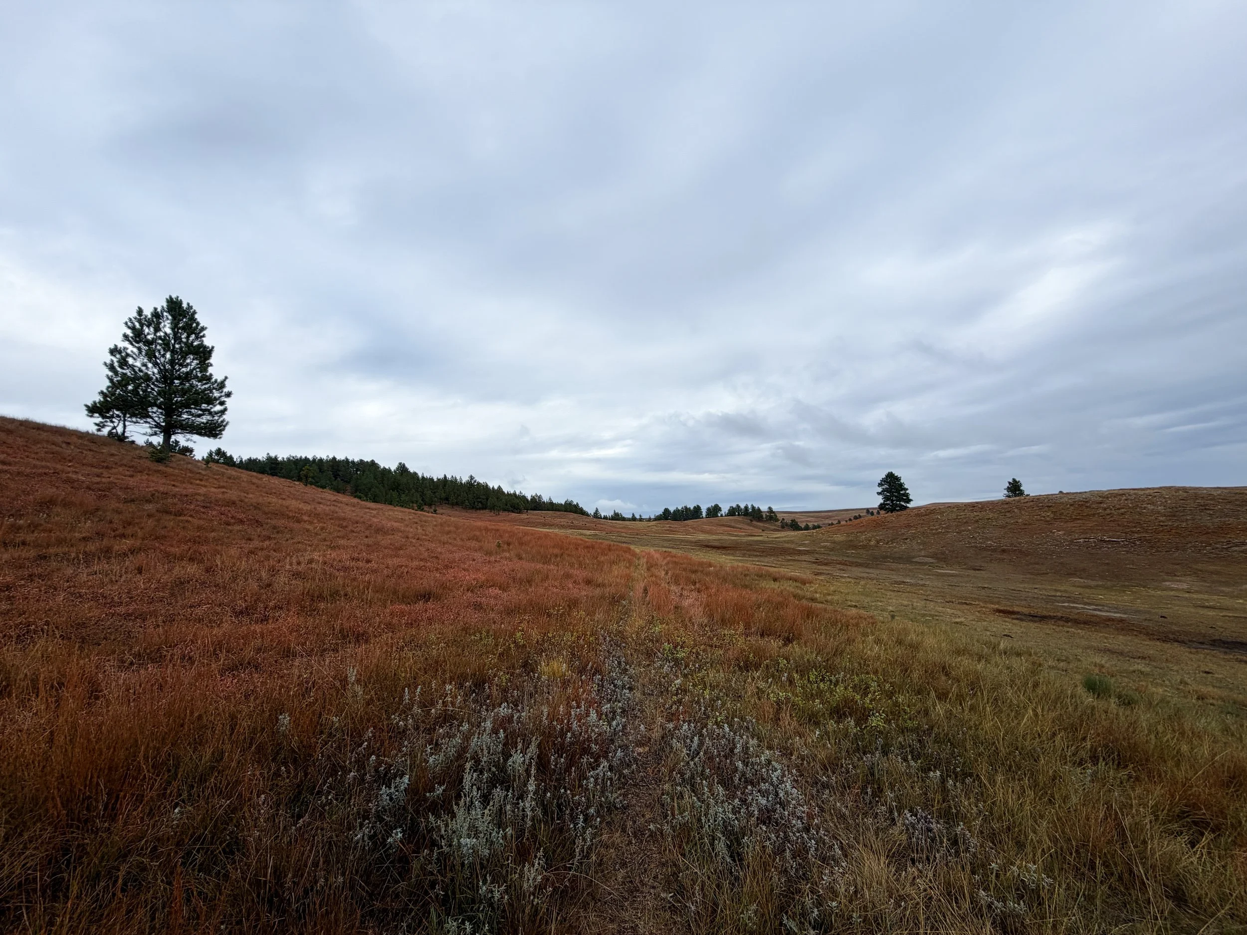 Highland Creek Trail to Wind Cave Canyon Wind Cave National Park South Dakota