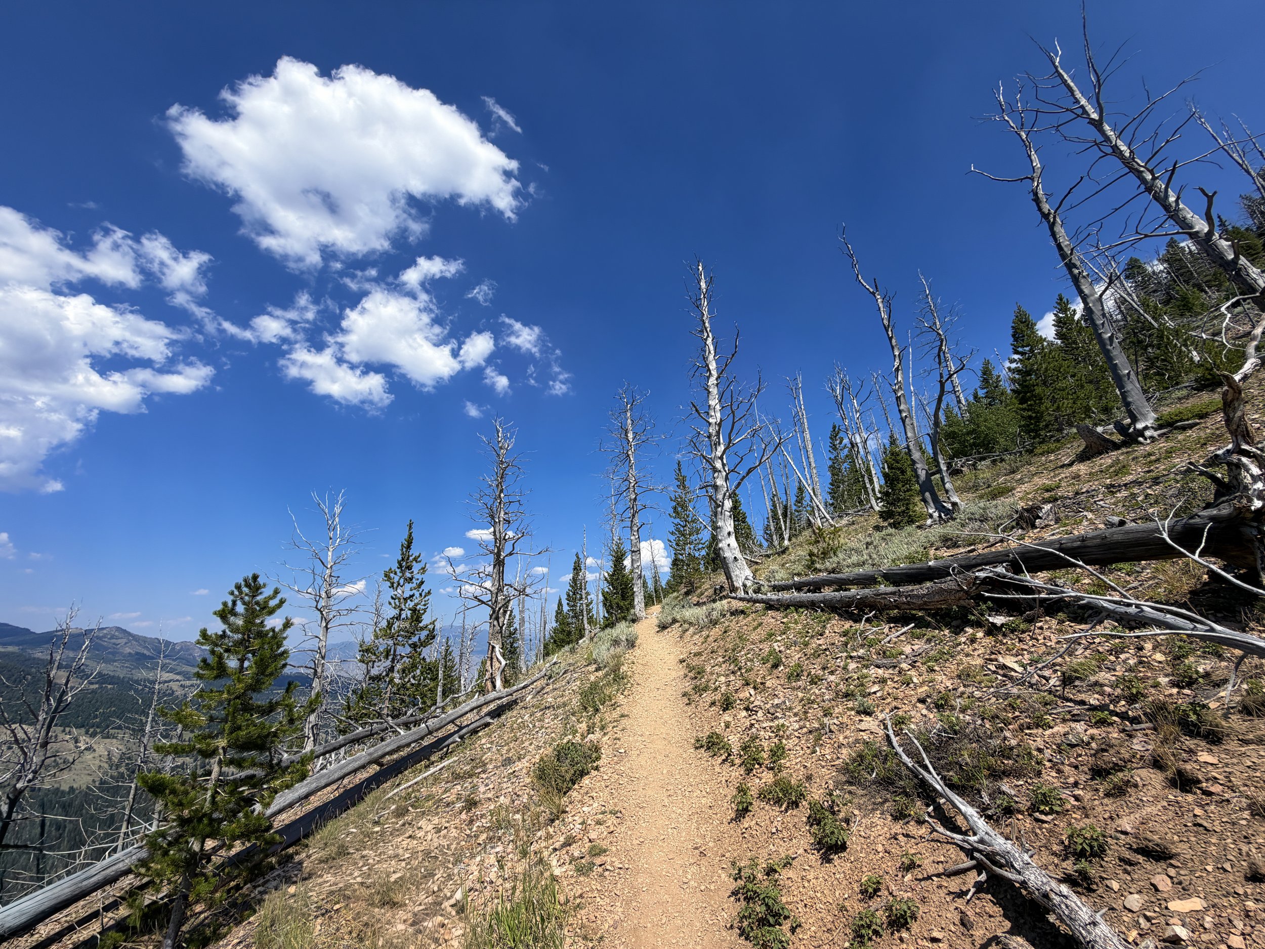 Bunsen Peak Hike Yellowstone National Park Wyoming