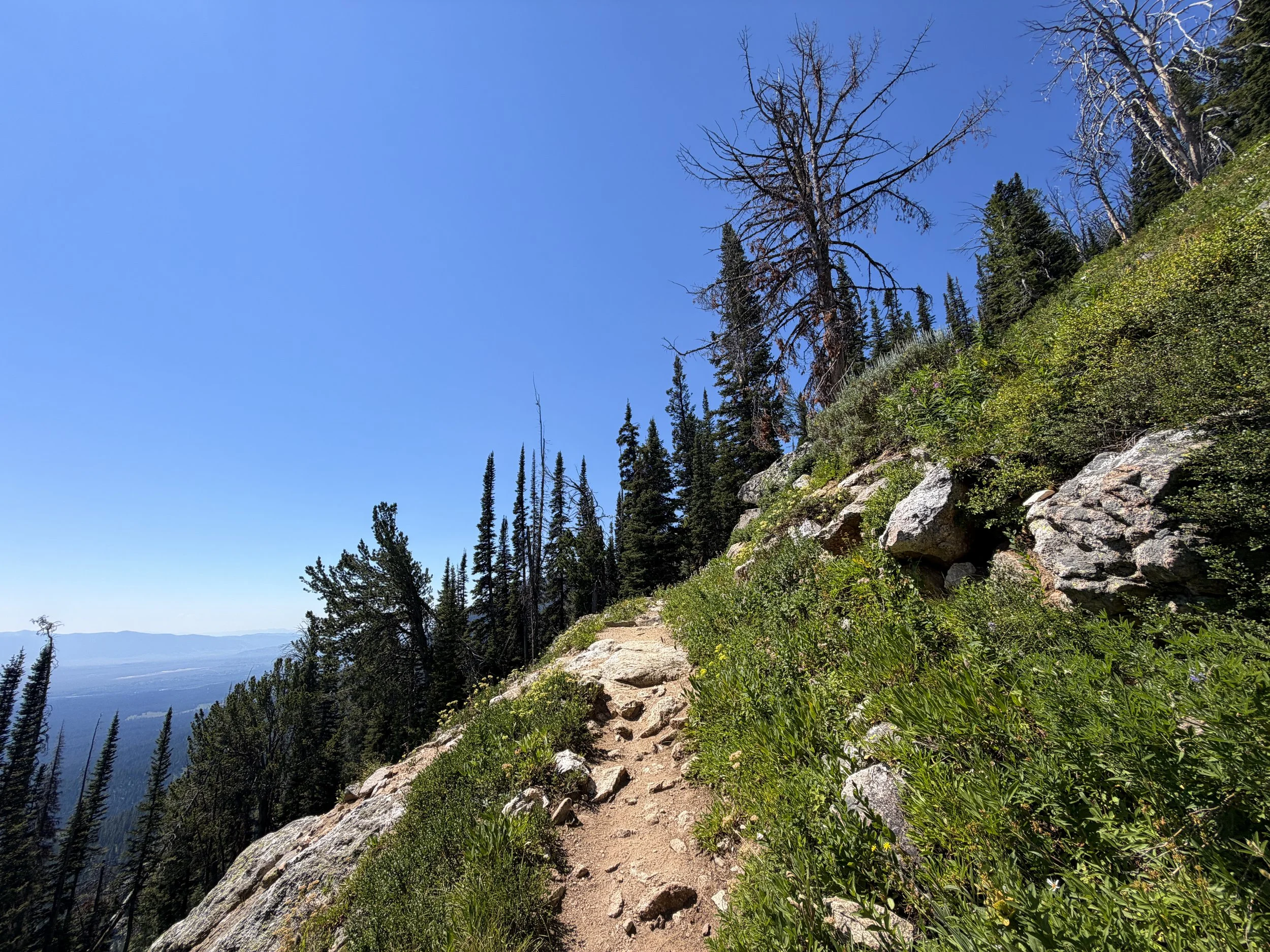Surprise and Amphitheater Lakes Trail Grand Teton National Park Wyoming