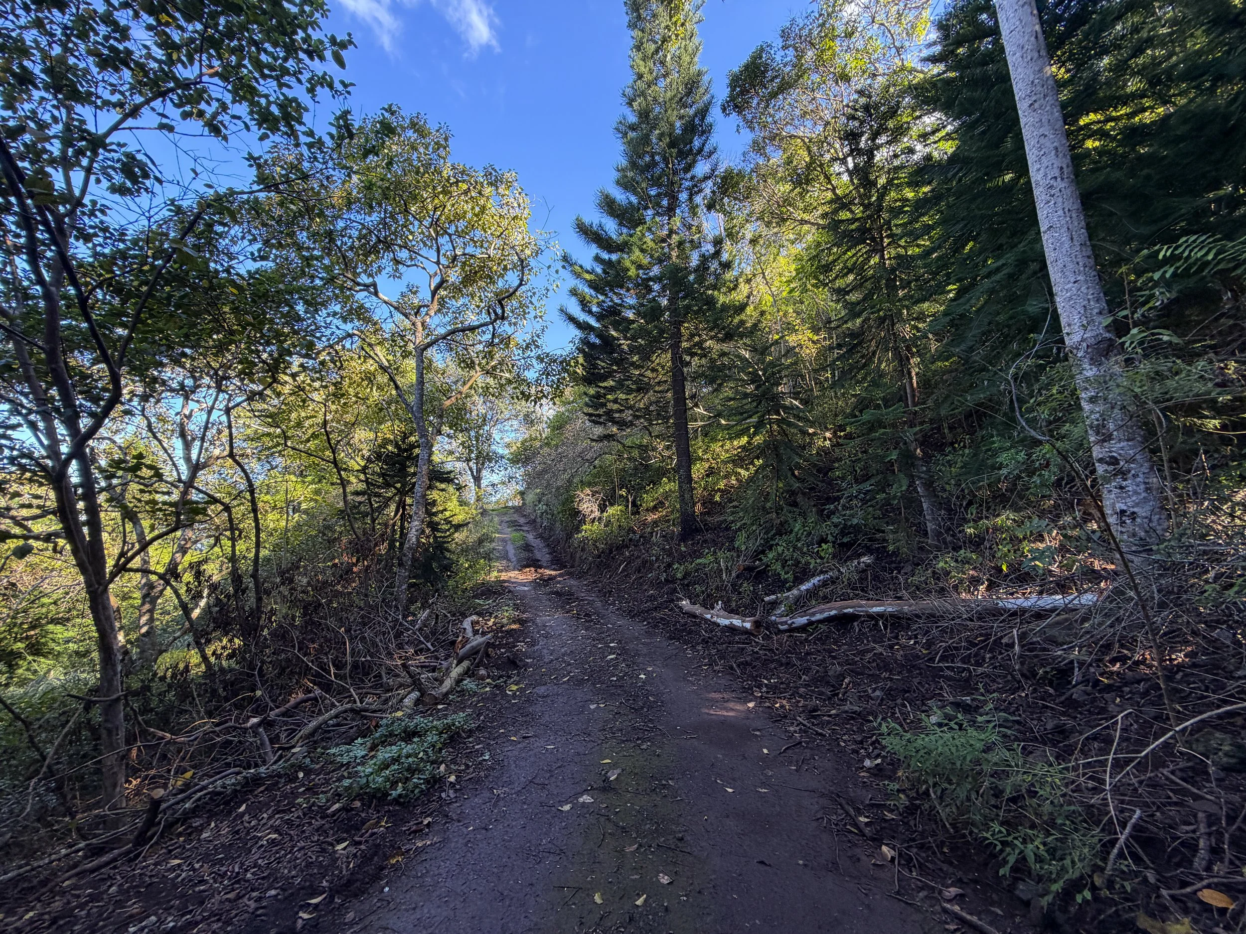 Peacock Flats Road to Mokuleia Trail Oahu Hawaii