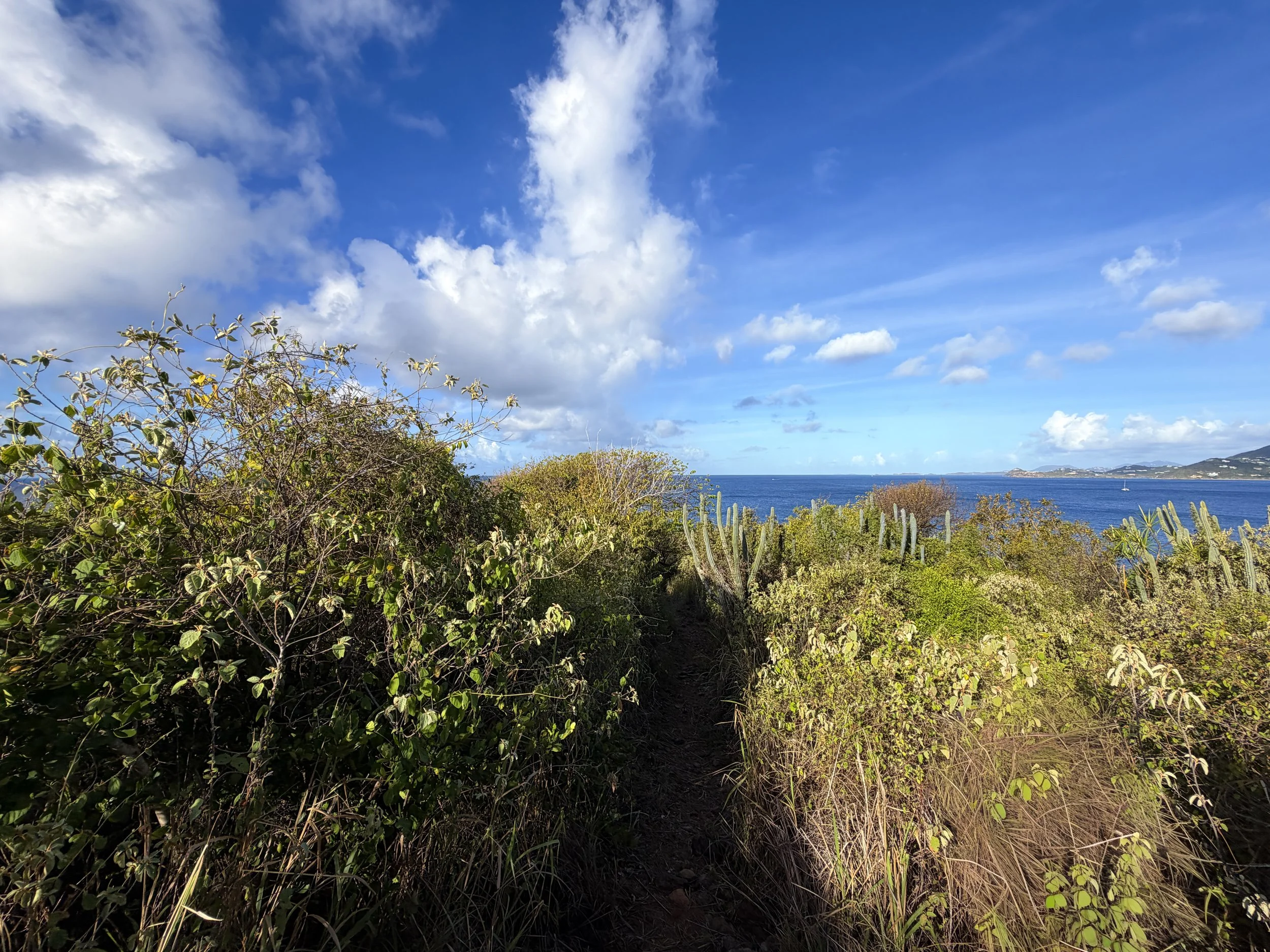 Cabritte Horn Trail Virgin Islands National Park