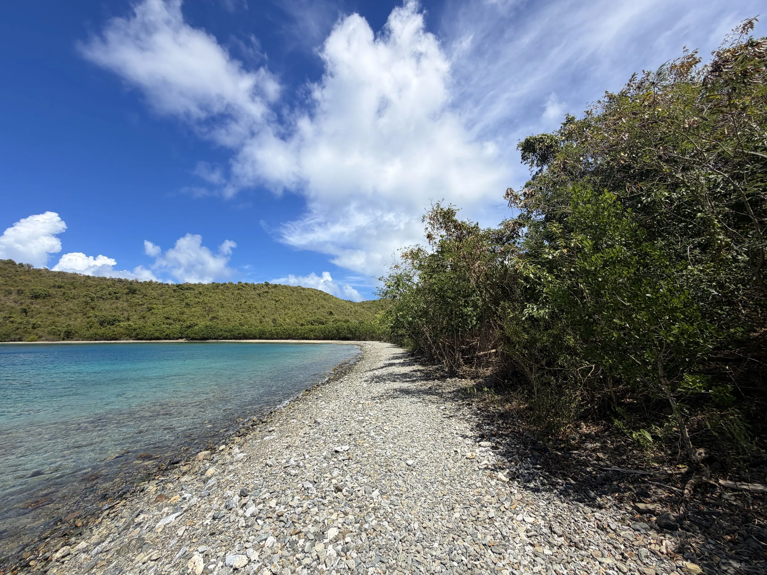 Leinster Bay Hike to Waterlemon Cay Virgin Islands National Park