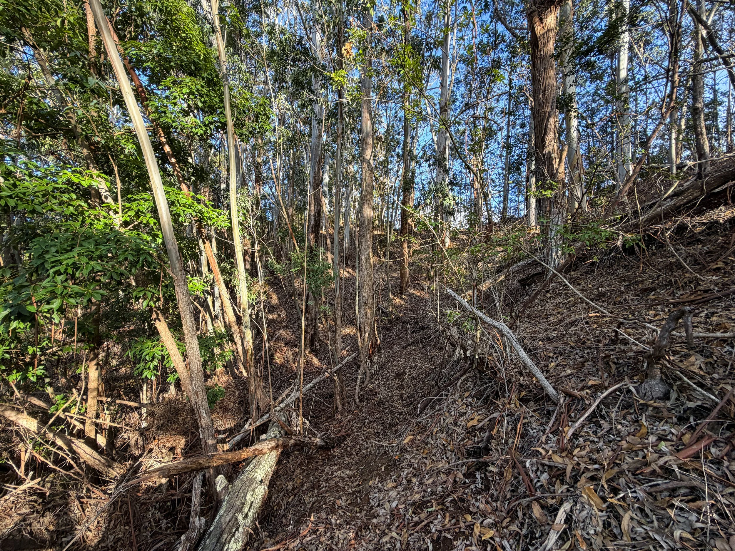 Mokuleia Trail Oahu Hawaii