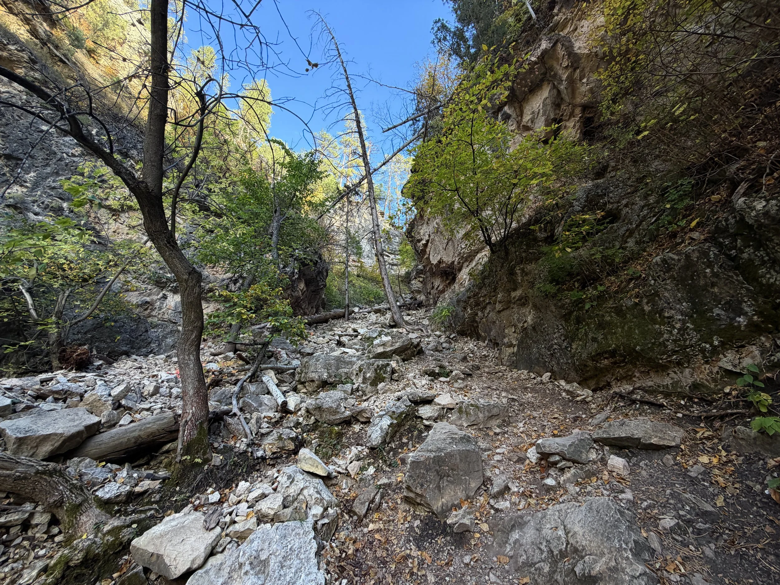 Community Caves Trail Spearfish Canyon Black Hills South Dakota