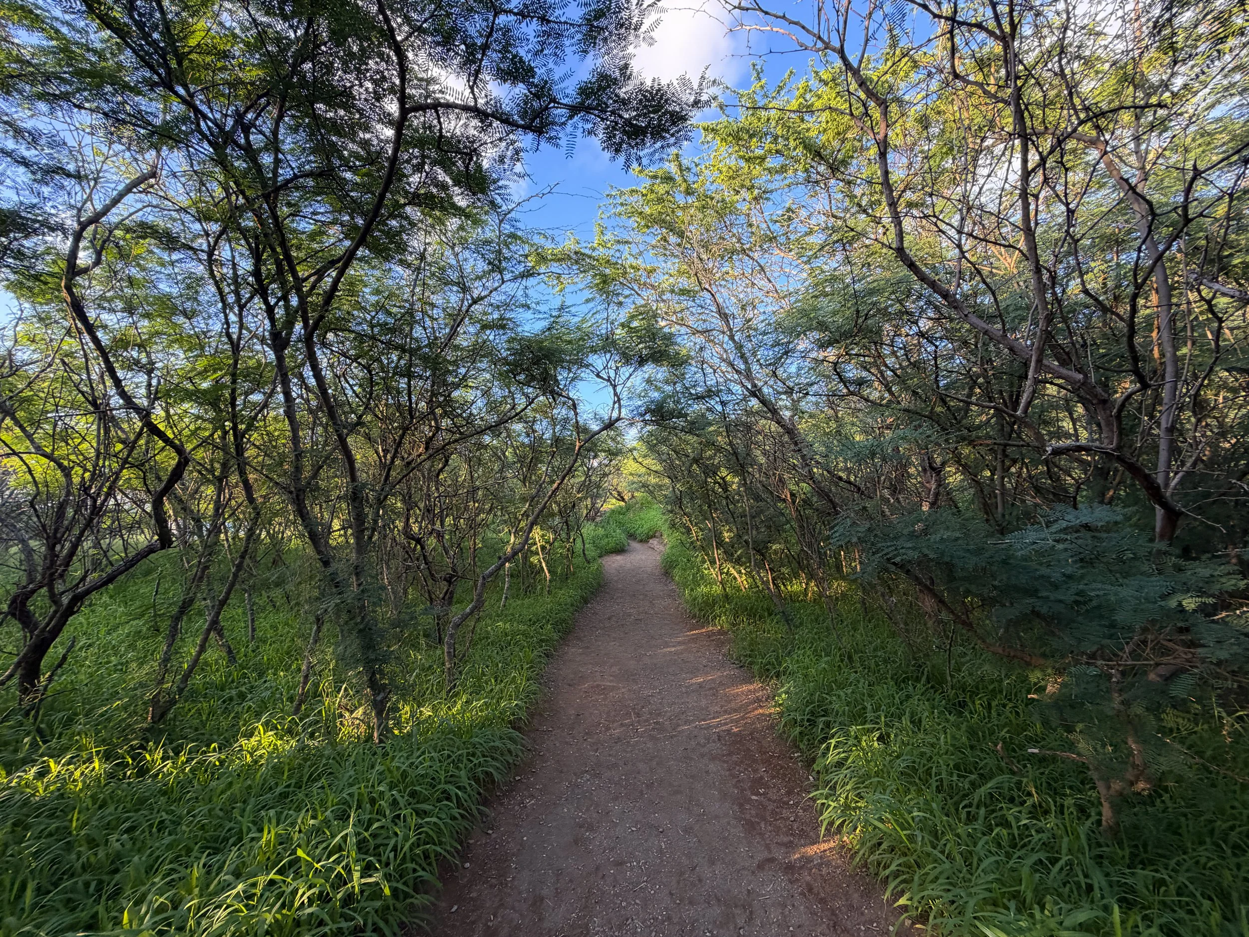 Koko Head Stairs Trail Oahu Hawaii