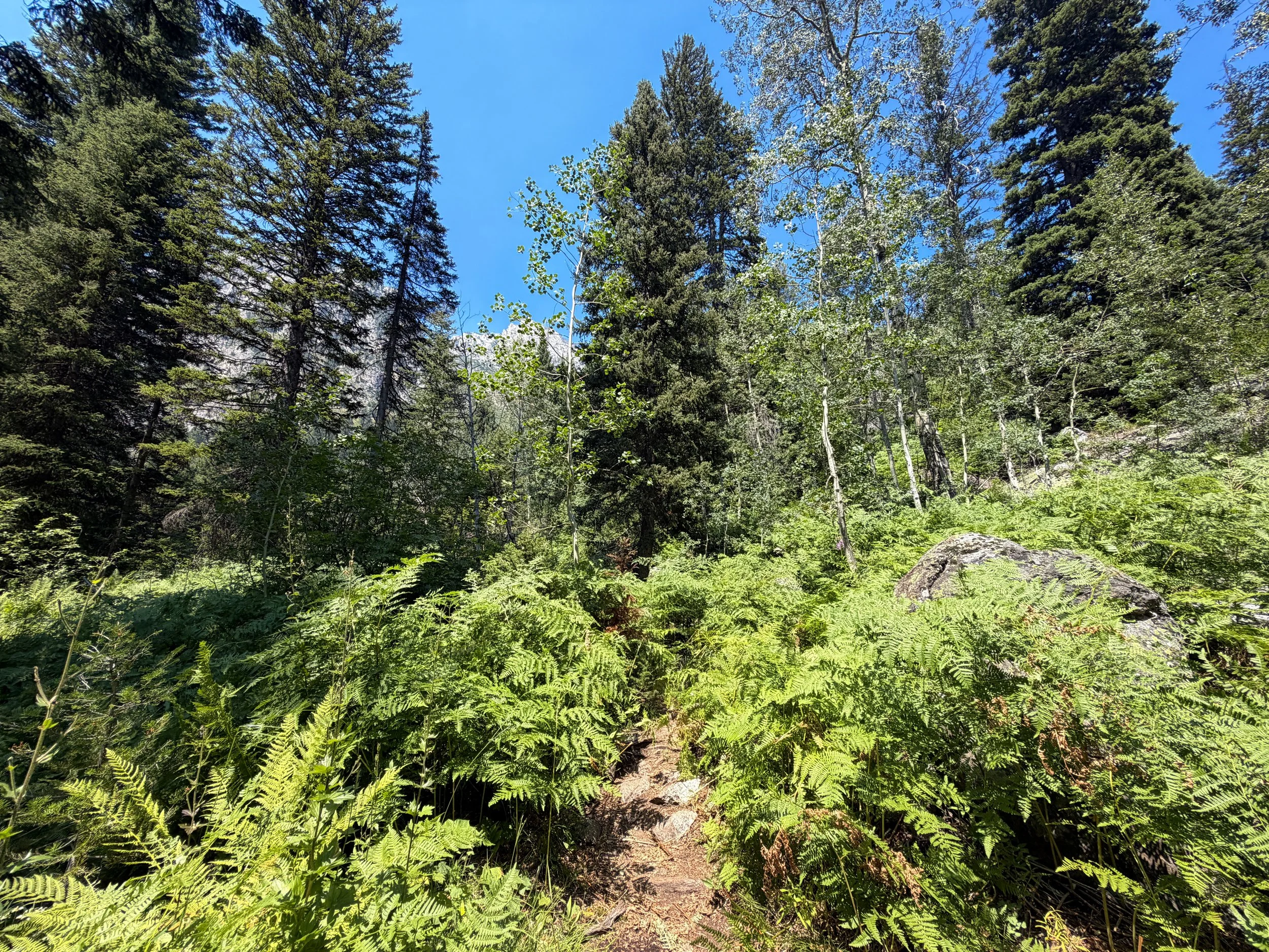 Lake of the Crags Trail Grand Teton National Park Wyoming