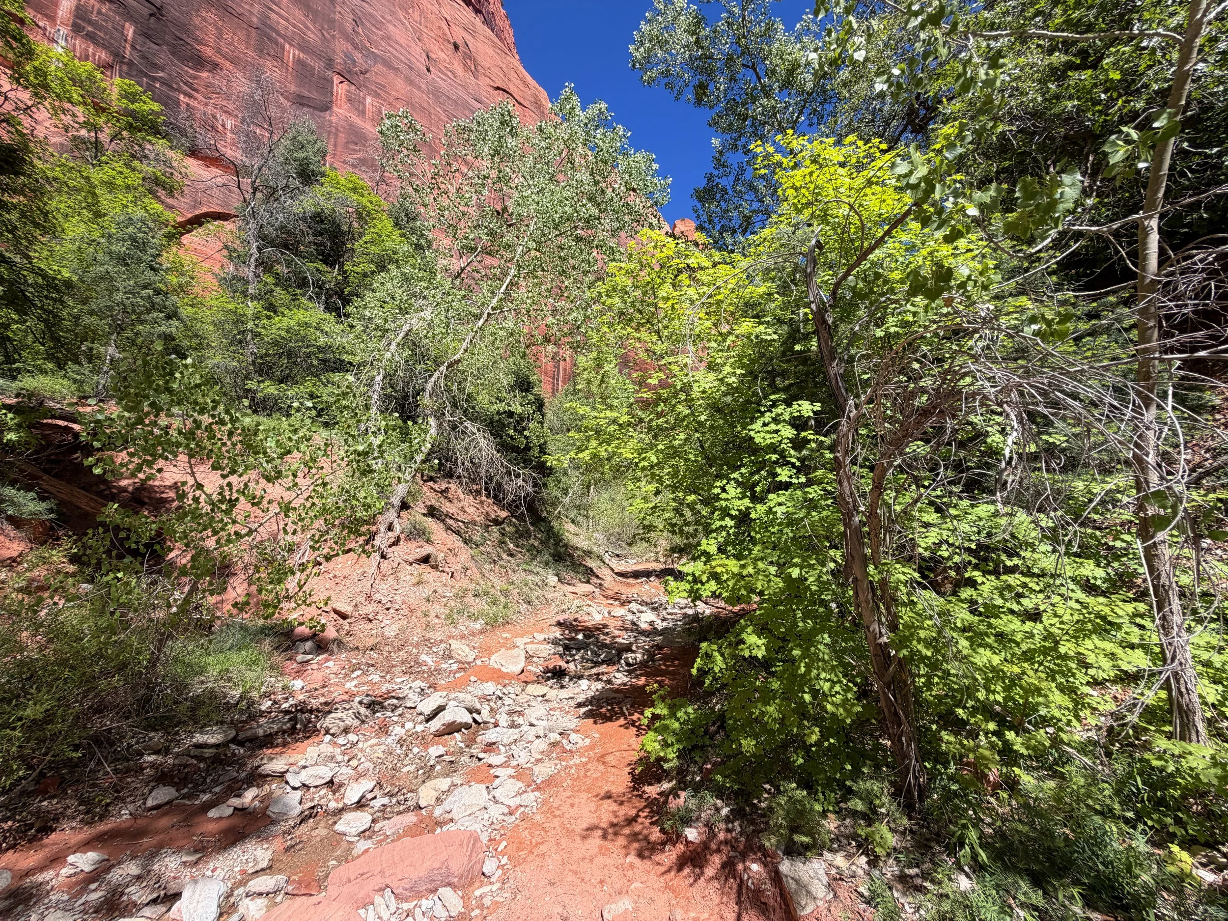 Middle Taylor Creek Trail Zion National Park Utah