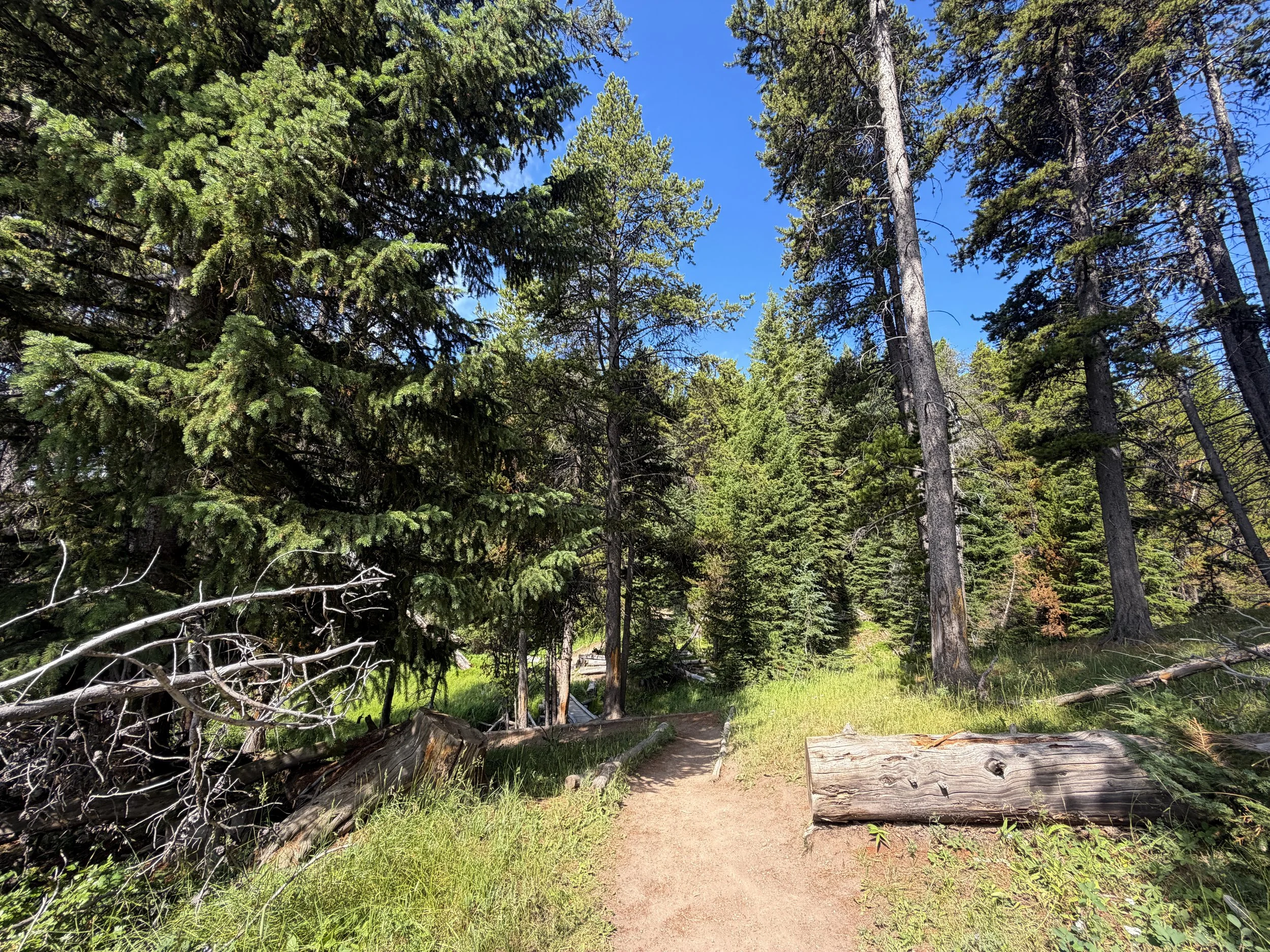 Storm Point Trail Yellowstone National Park Wyoming
