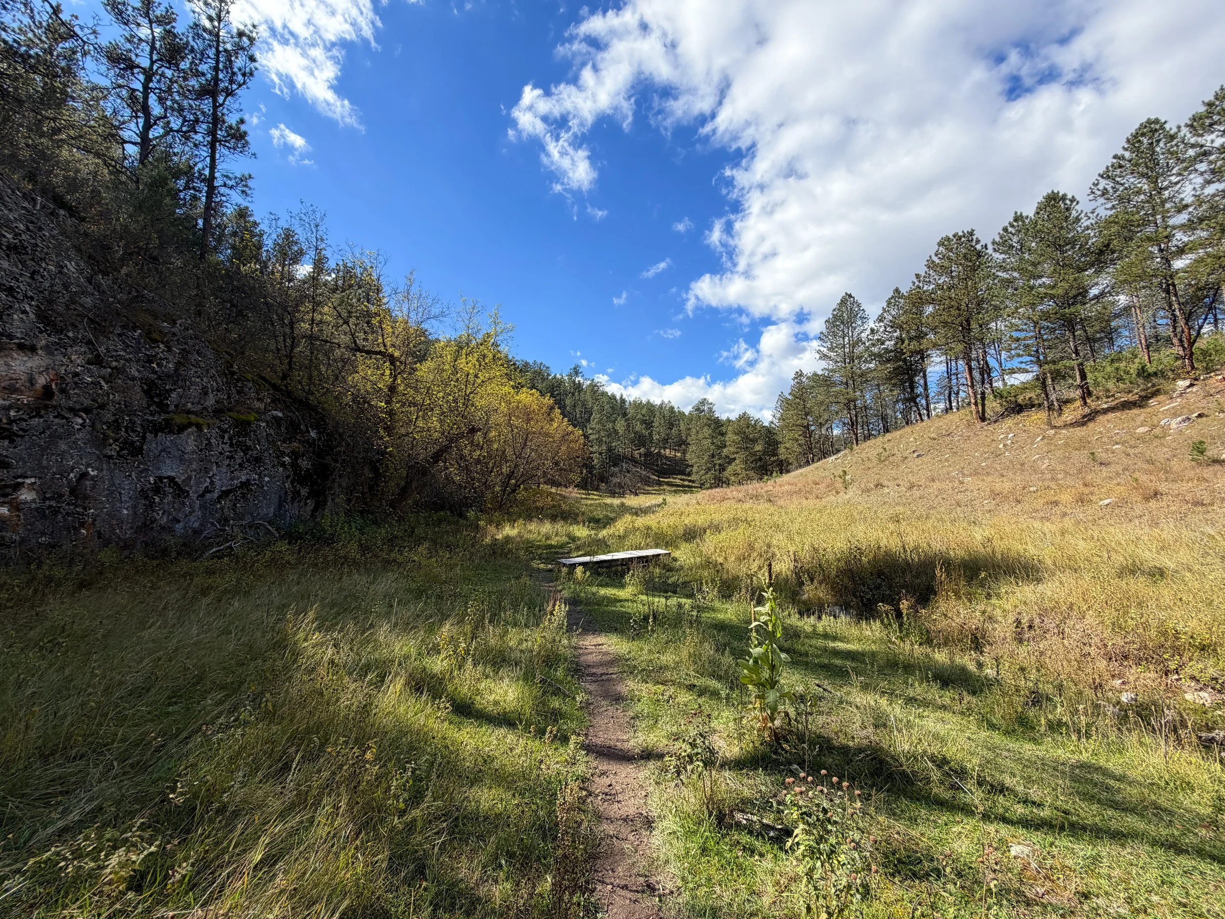 Lookout Point Loop Trail Wind Cave National Park South Dakota