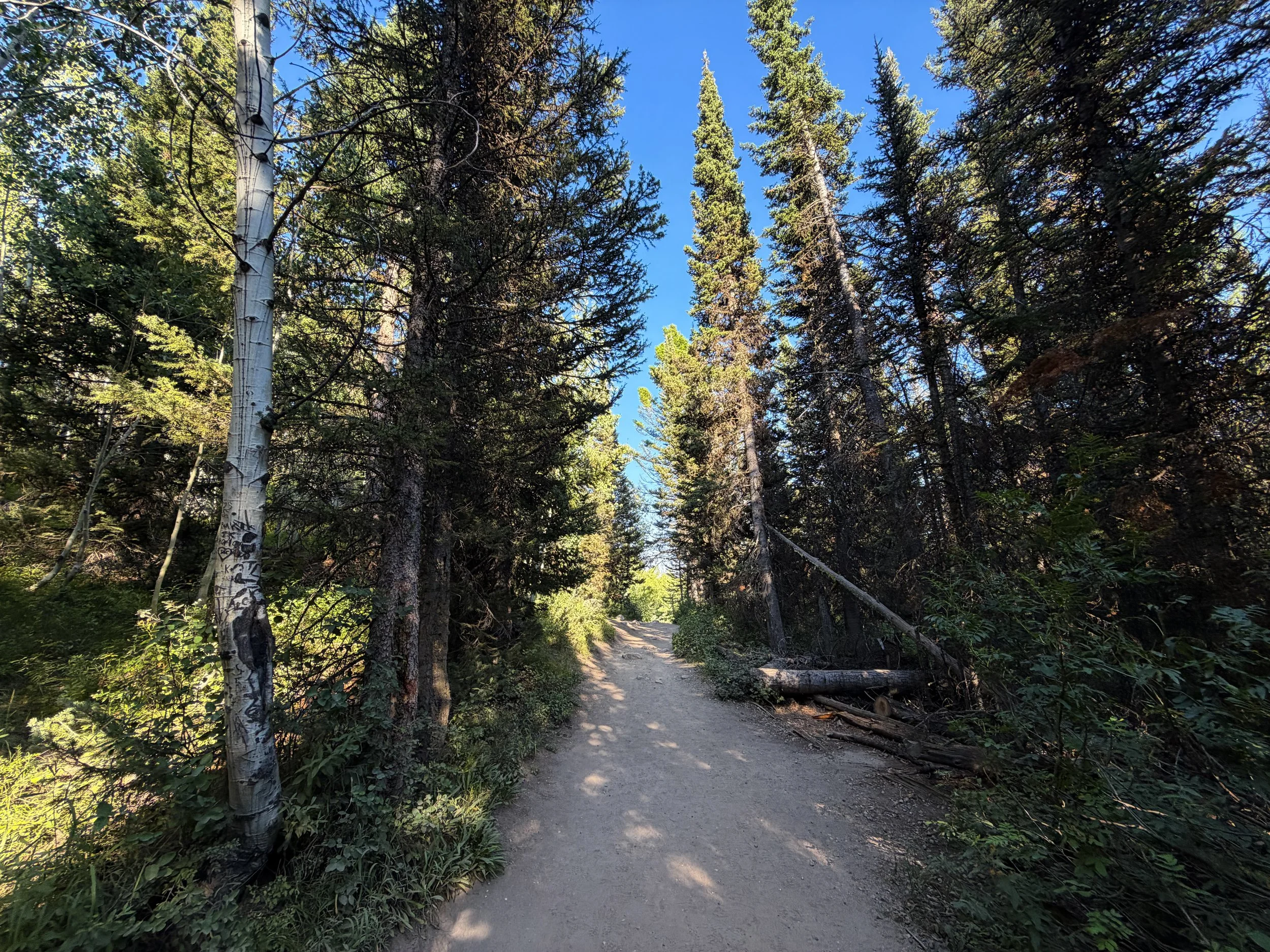 Moose Ponds Loop Trail Grand Teton National Park Wyoming