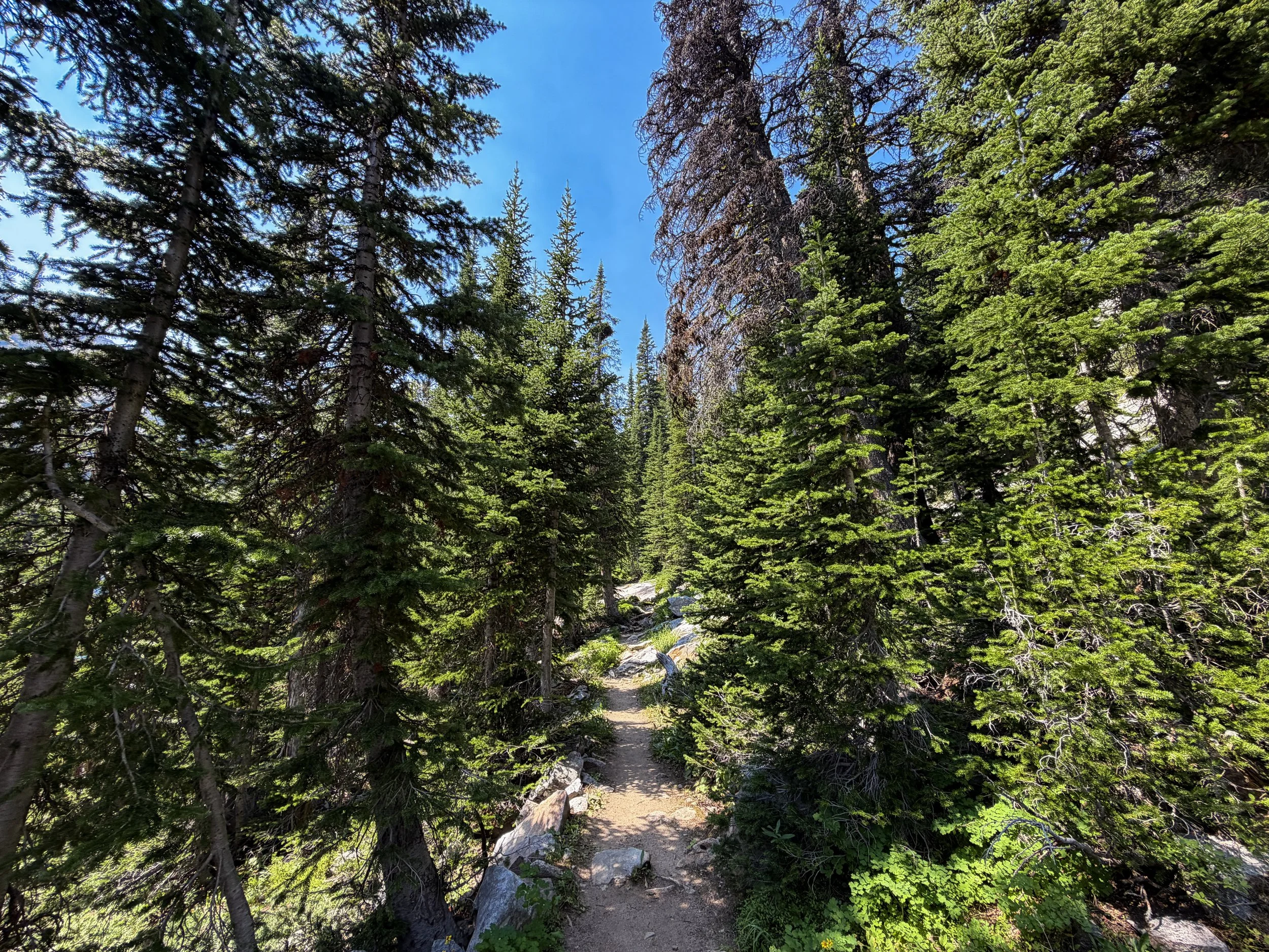 East Rosebud Trail The Beaten Path Beartooth Mountains Montana