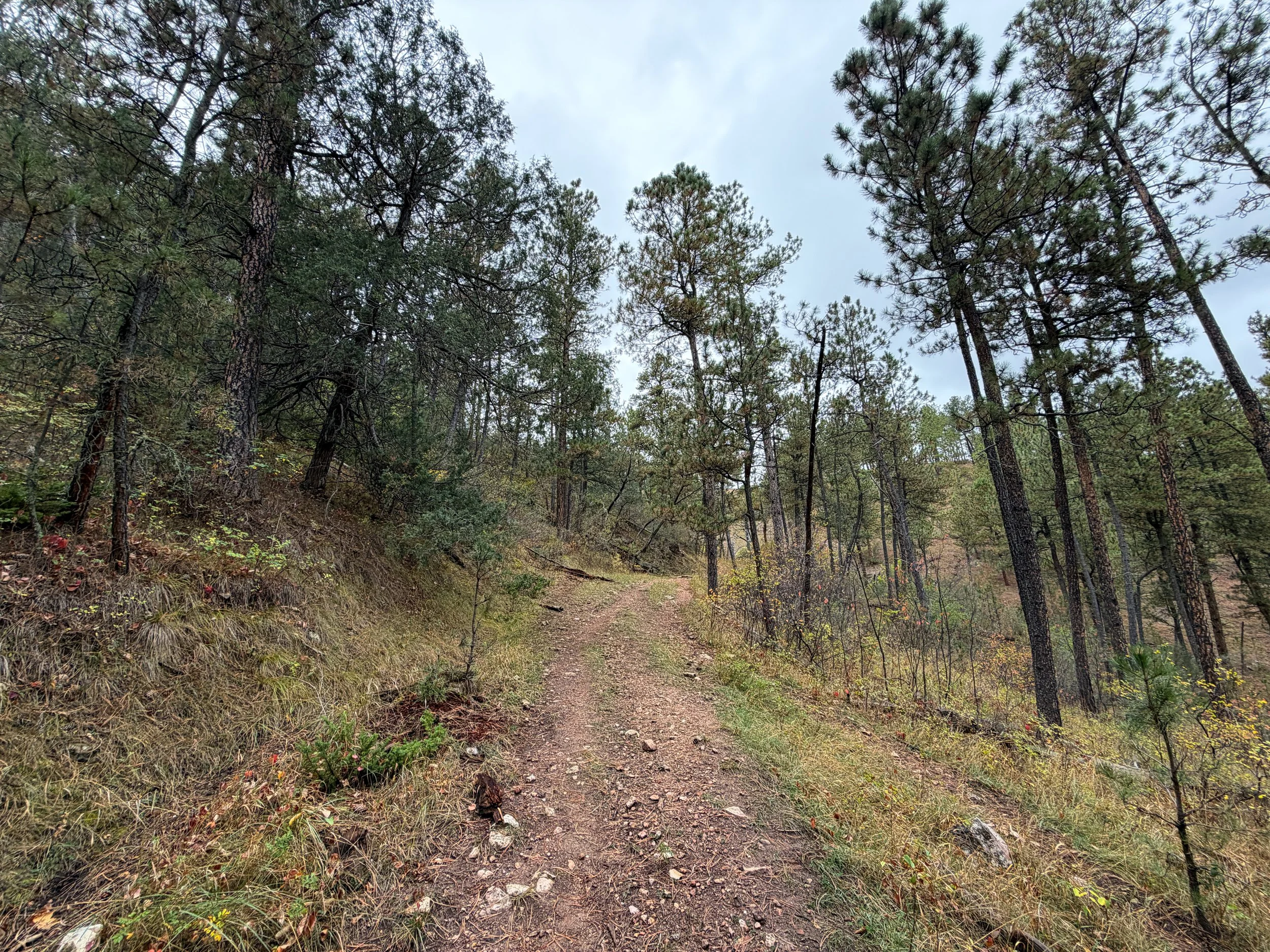 Highland Creek Trail to Lookout Point Loop Wind Cave National Park South Dakota
