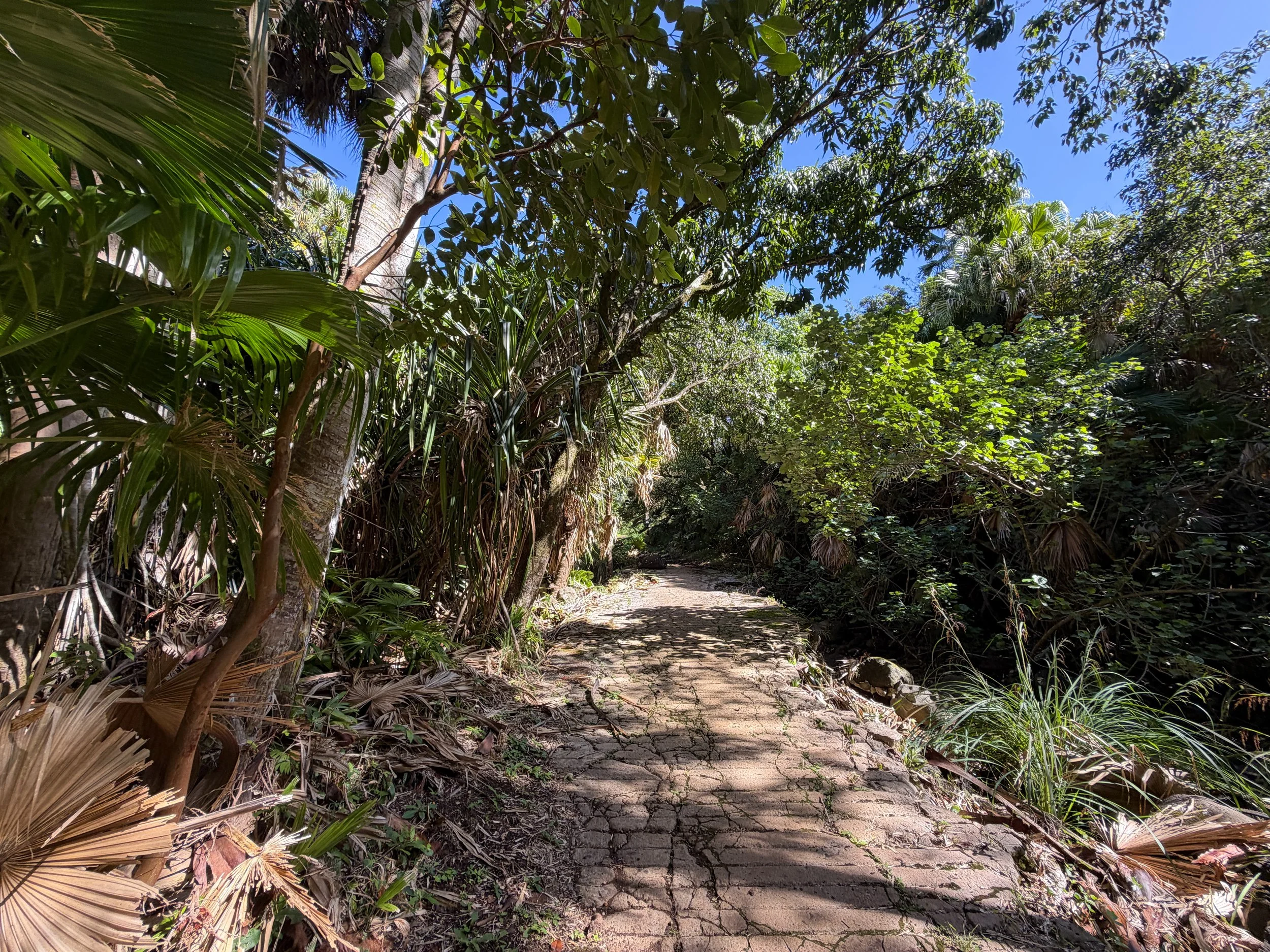 Tripler Ridge Trail via Kamananui Valley Road Oahu Hawaii