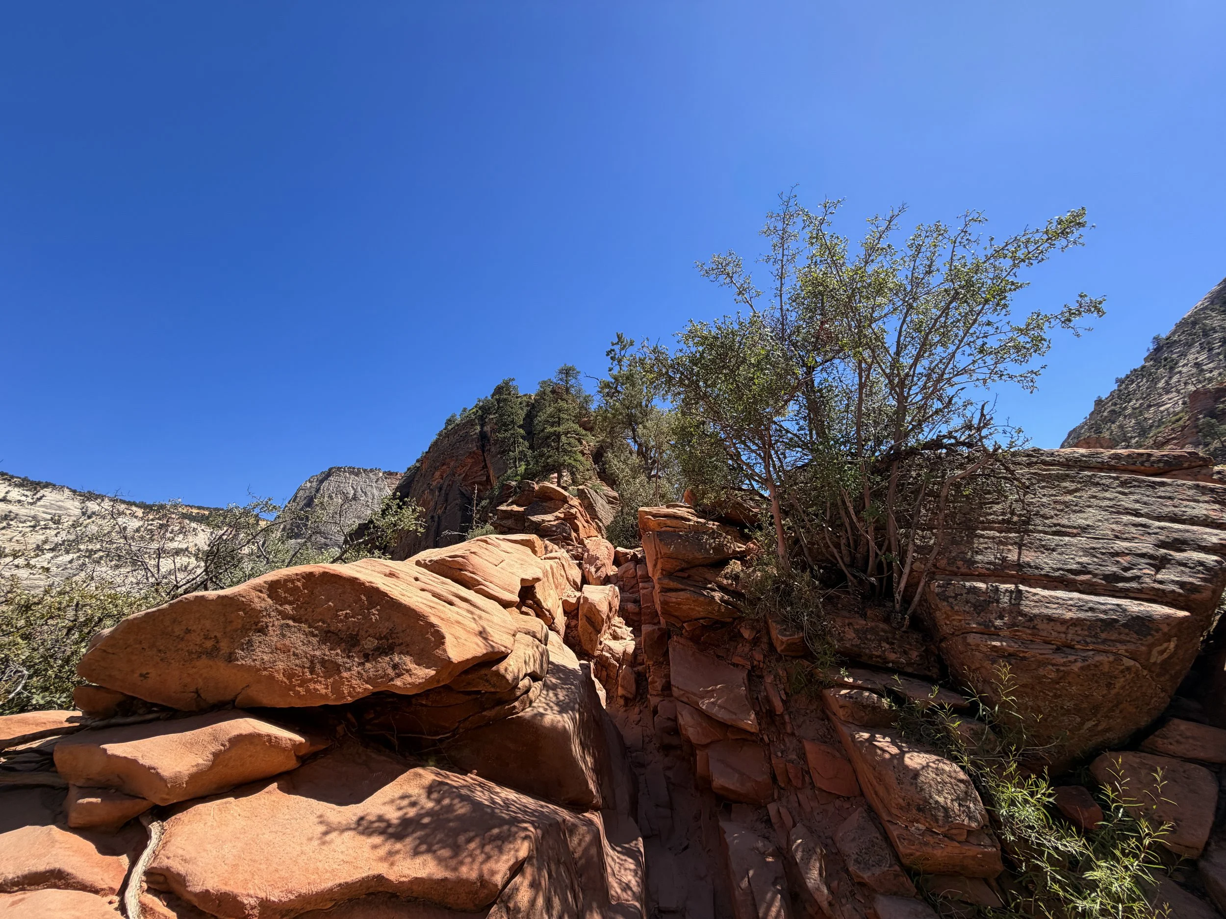Angels Landing Hike Chains Zion National Park Utah