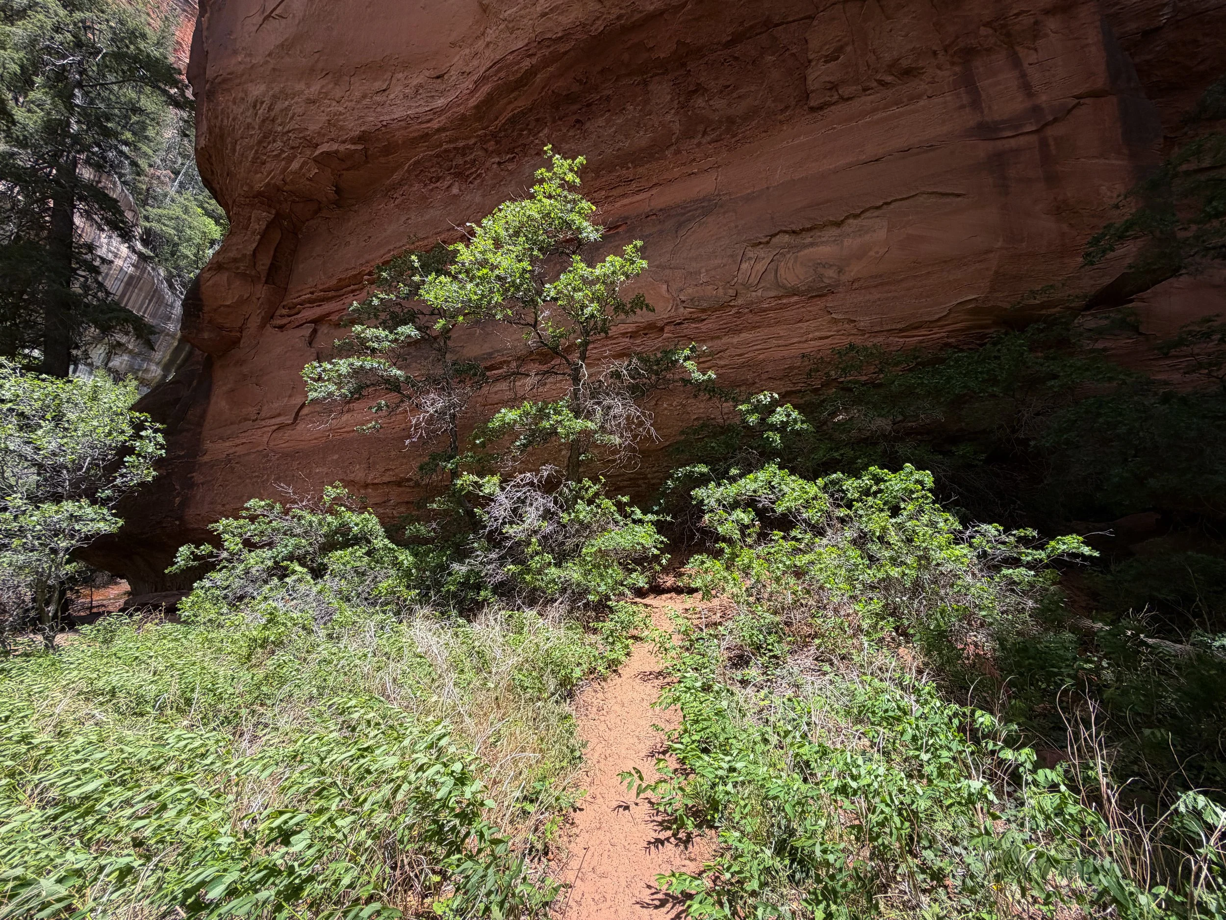 Subway Trail Zion National Park Utah