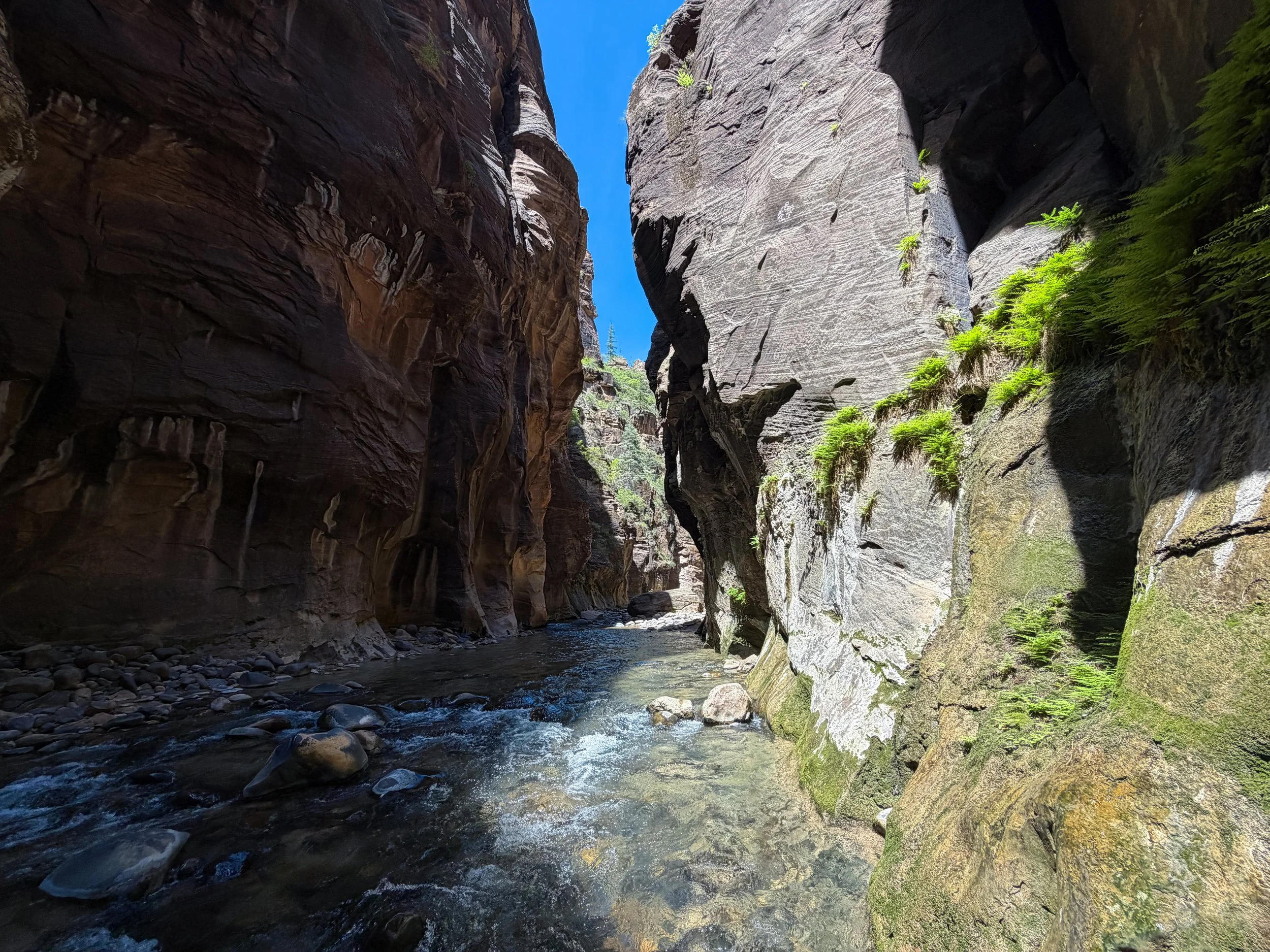 The Narrows Bottom Up to Big Springs Zion National Park Utah