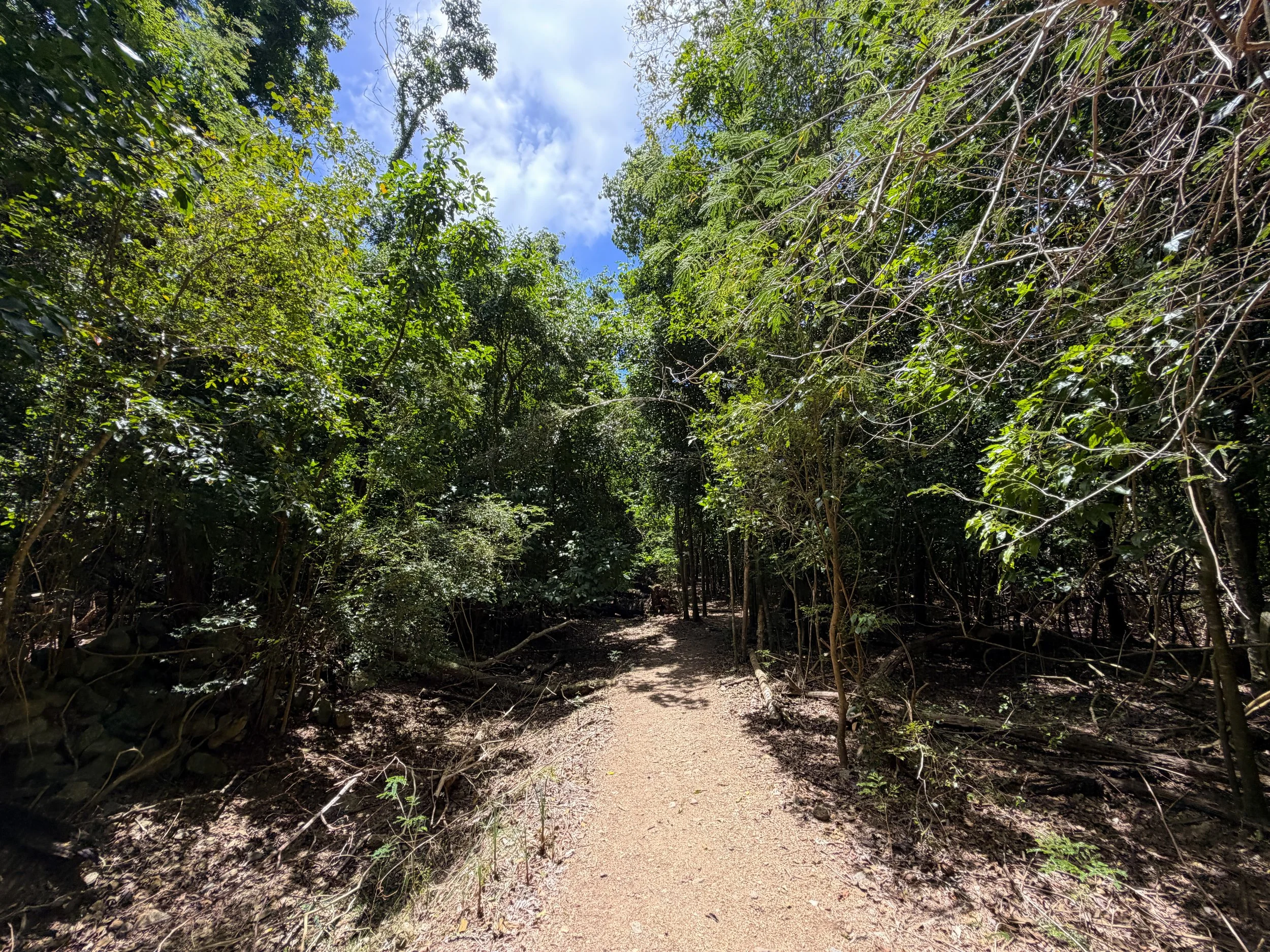 Reef Bay Trail Virgin Islands National Park